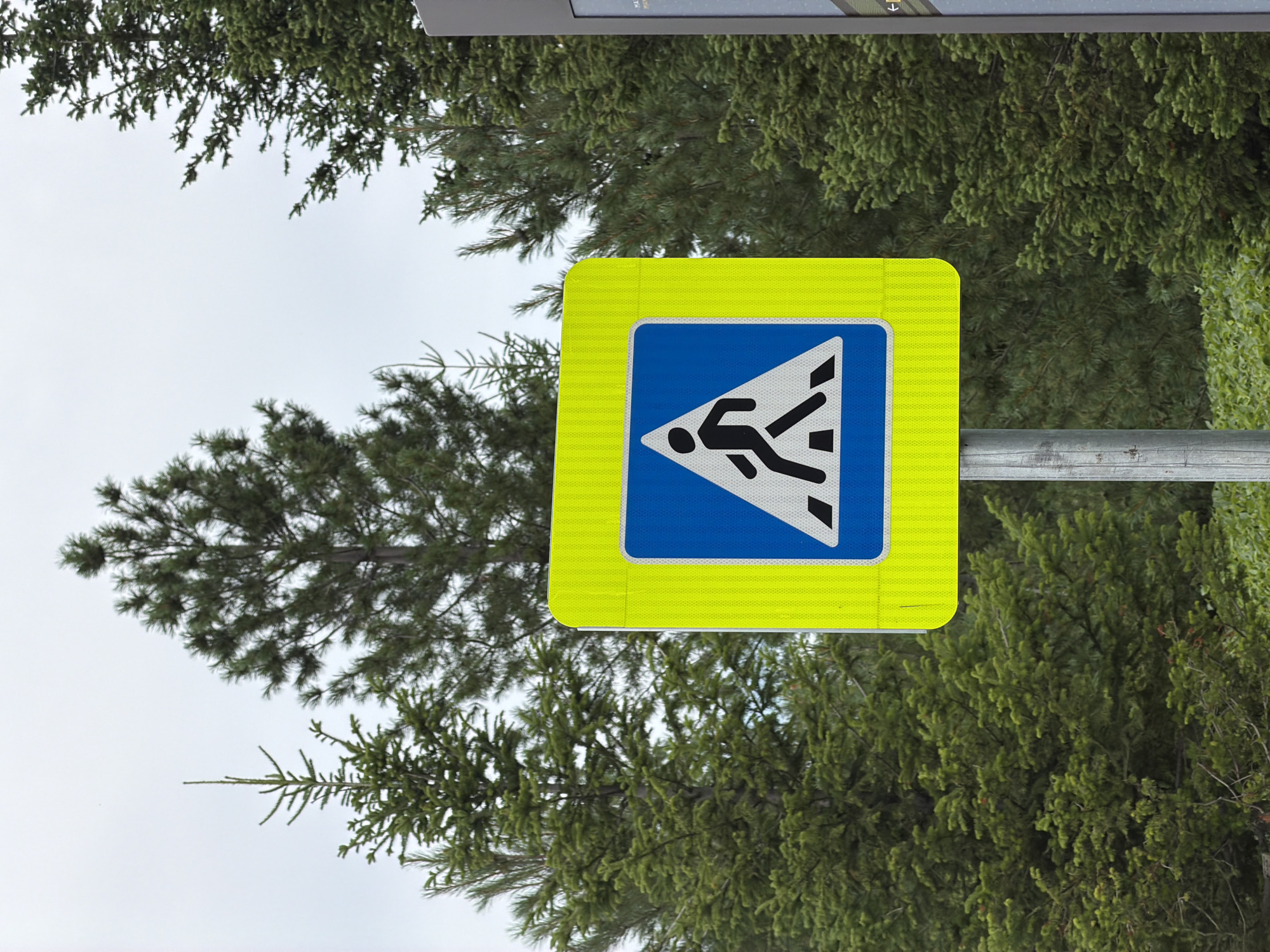 A traffic sign for a pedestrian crossing is prominently displayed on a metal post, framed by lush green pine trees against a bright, overcast sky. The sign itself is square with rounded corners and features a vibrant neon yellow border surrounding a blue square. Inside the blue square, a black silhouette of a person walking is depicted within a white triangle, pointing to the right. The pedestrian icon is stylized, with one leg extended forward and the other bent. The overall scene suggests an outdoor setting, likely along a road or path, with the dense foliage of the pine trees indicating a natural or semi-rural environment. The lighting suggests it is daytime, but the overcast conditions create a diffused, even light. The sign's clear visibility and the surrounding greenery provide a sense of a safe and designated crossing area. There are no other people or objects immediately visible besides the sign, post, and trees. The location context identifies the scene as Озерное (майминский), Russia.