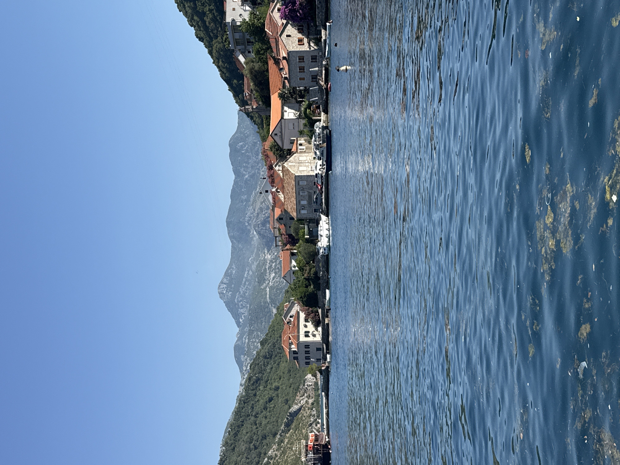 The image depicts a serene coastal scene in Lepetane, Montenegro. In the foreground, the deep blue water of the bay is calm, with gentle ripples reflecting the sunlight. Patches of seaweed and debris are visible floating on the surface. A cluster of buildings with red-tiled roofs lines the shore, nestled against a backdrop of lush green hills that rise steeply towards rugged, gray mountains under a clear blue sky. Several boats are moored along the waterfront, including a larger tour boat on the left and smaller vessels closer to the buildings. The architecture of the houses is traditional, with stone facades and shuttered windows. The overall atmosphere is peaceful and idyllic, suggesting a quiet summer day in a picturesque coastal village.
