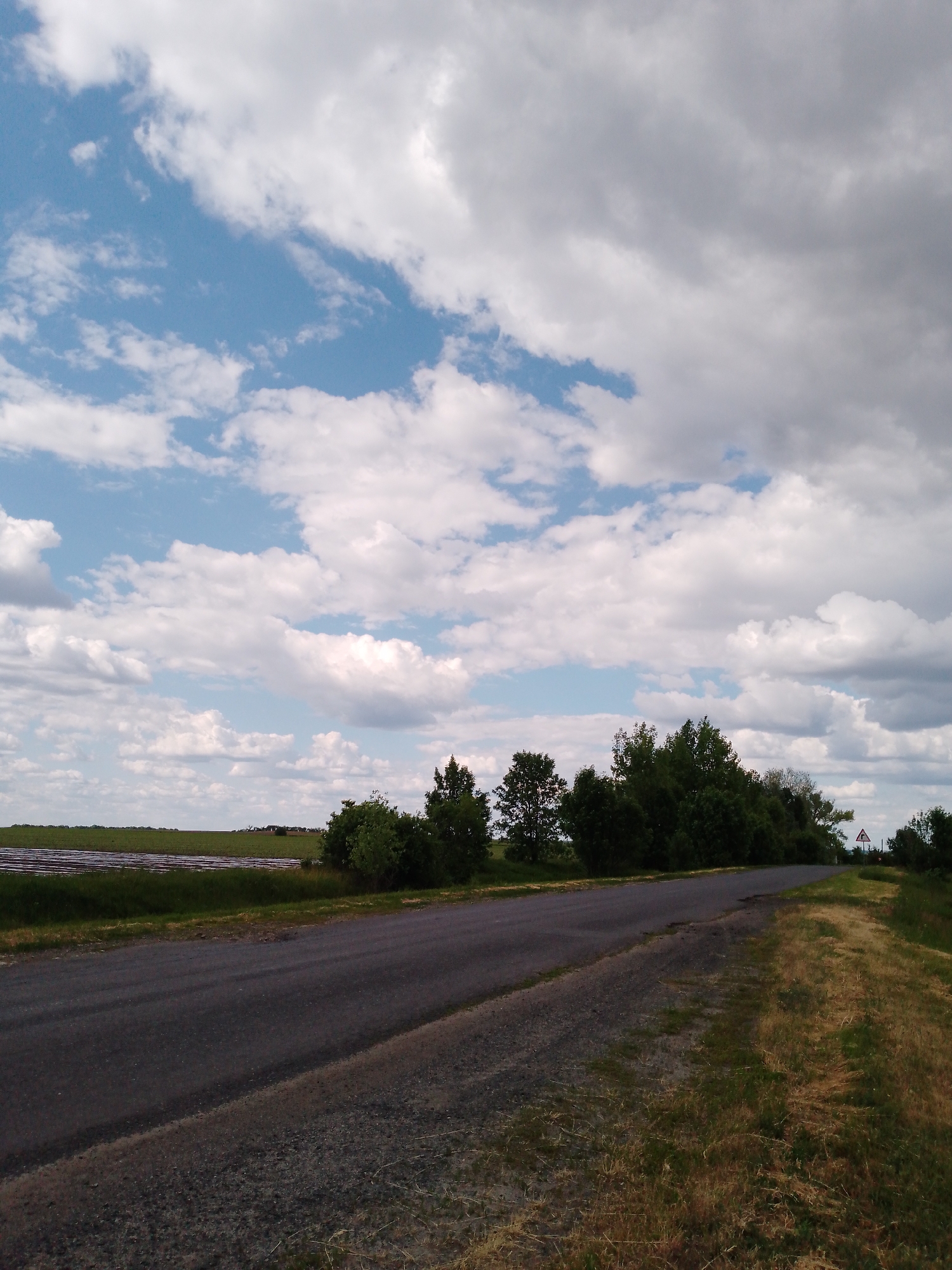 The image shows a rural road in an unspecified location, possibly near a farming area. The road is asphalt, with worn edges and gravel shoulders. A grassy, weedy ditch runs alongside the road. Beyond the ditch is a field, and a treeline. A road sign is visible on the right side of the road. The sky is predominantly cloudy, with patches of blue.