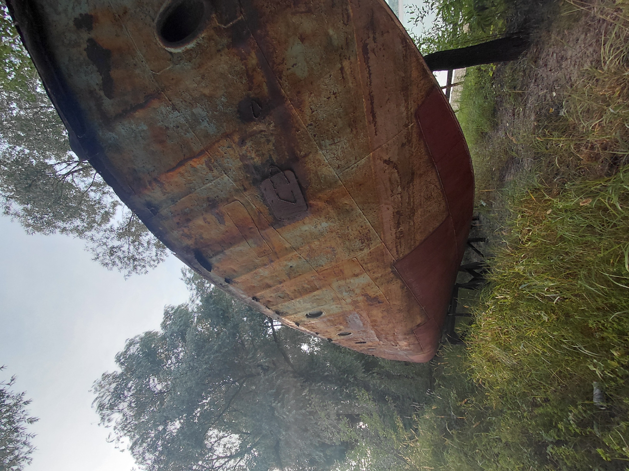The image depicts the hull of a large, rusted vessel, possibly a ship or barge, resting on a sandy shore amidst overgrown vegetation. The vessel's hull is predominantly a reddish-brown color, indicating significant corrosion and age. There are several circular portholes visible along its side. The vessel is supported by dark, angled stands. Tall trees with green foliage frame the scene, and the sky above is a pale, overcast gray. The vegetation in the foreground consists of tall, dry grass and other wild plants. The scene appears to be located in an outdoor, natural setting, likely near a body of water, given the context of a vessel. The image does not contain any people or active interactions. This scene is located on the bank of the Ob River in Novosibirsk, Russia, specifically in the area of the former Shipbuilding Plant No. 345, now known as the Novosibirsk Shipyard.