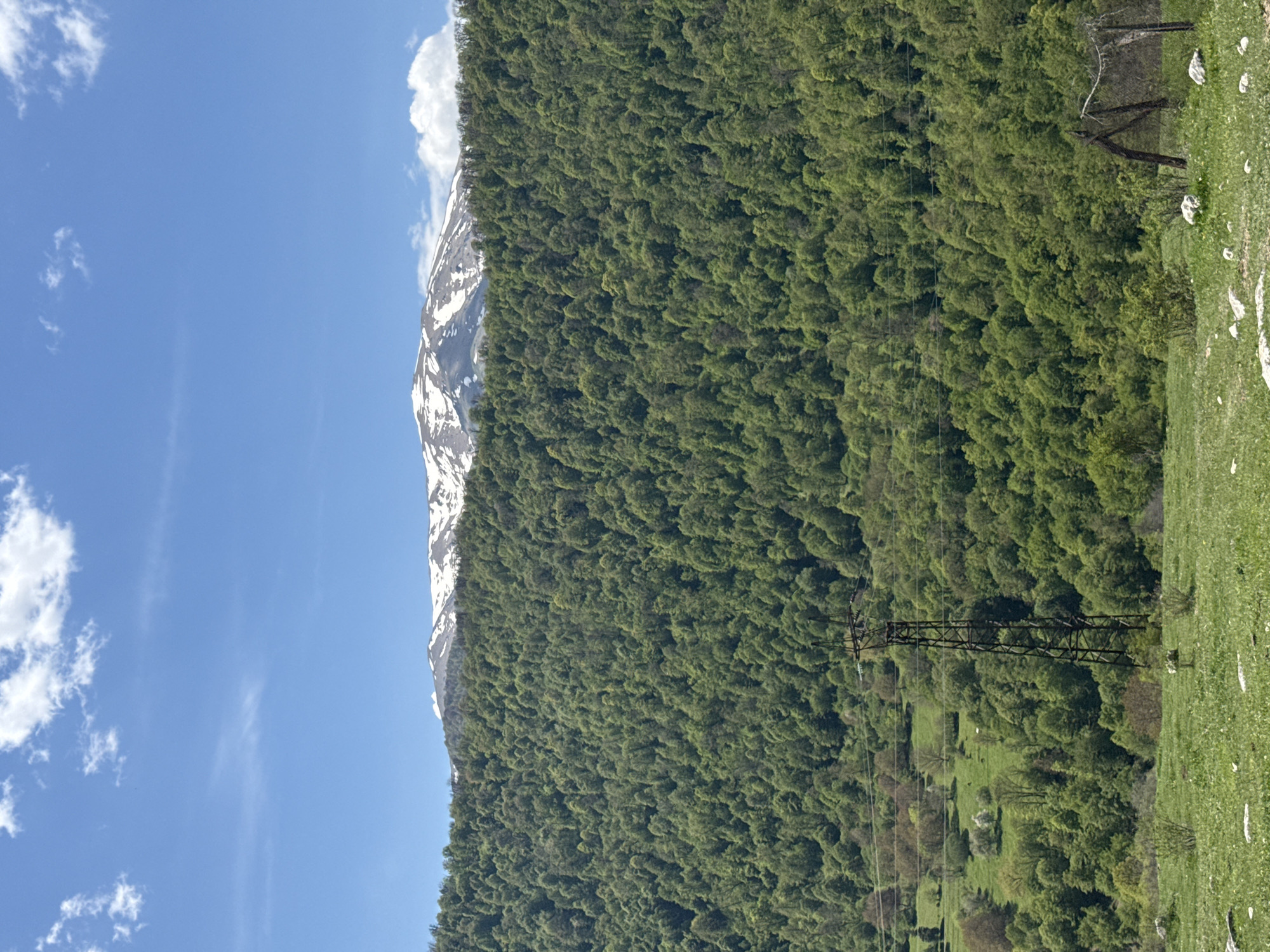 The image shows a mountainside landscape near Teghut, Armenia. Dense green forest covers most of the slope. Snow is visible near the summit of the mountain. In the foreground, a metal electrical transmission tower stands on a grassy area. Power lines extend horizontally from the tower into the forest. A blue sky with scattered clouds is visible in the background.