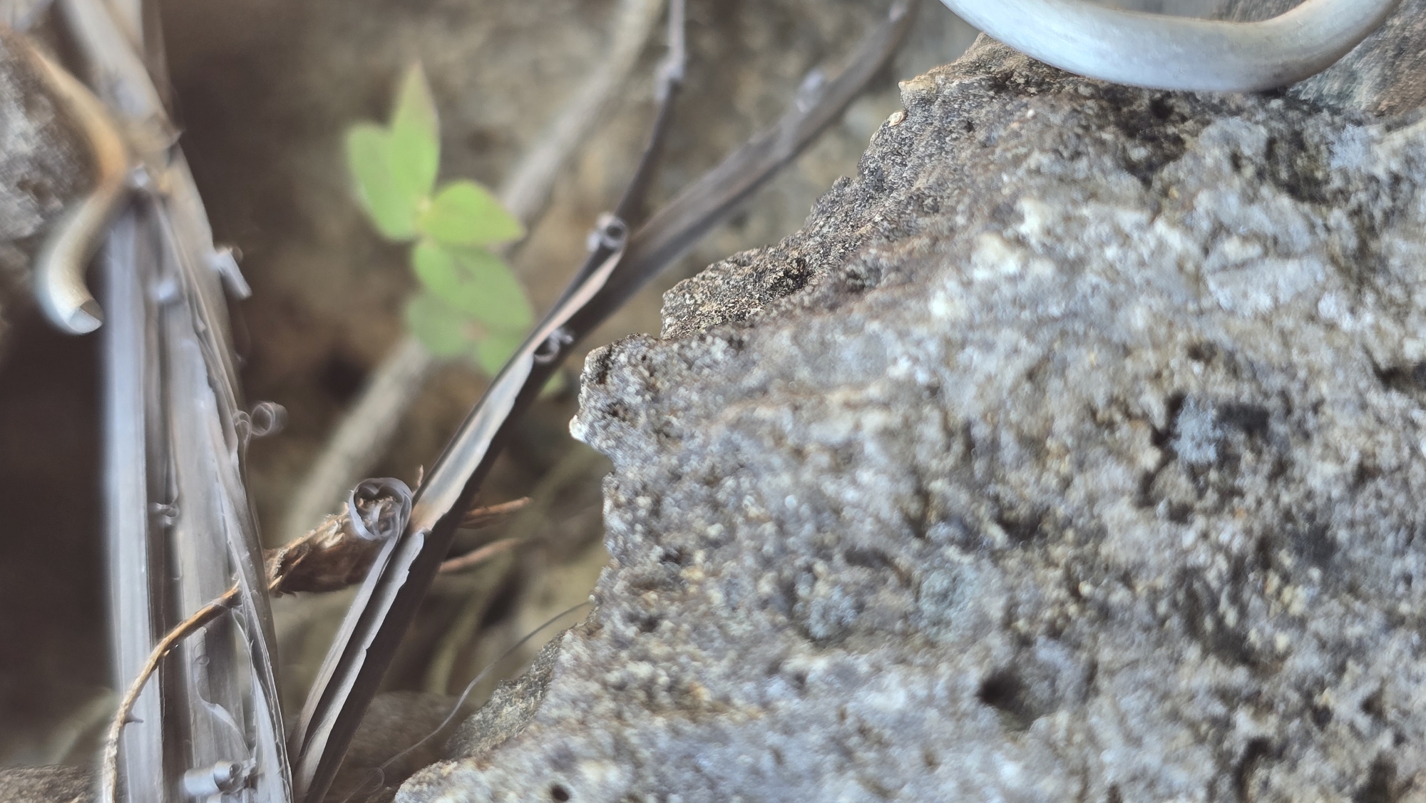 The image presents a close-up view of a rough, grey, porous rock surface, likely part of a larger structure, possibly in Banjarangkan, Indonesia, based on provided context. Partially visible are metal elements, including a curved, white section, as well as thin, dark metal strips. A small green plant with three leaves appears in the background. The scene lacks any discernible people, specific actions, or interactions. The environment appears natural, possibly an outdoor setting in a state of some disrepair, or an undisturbed natural setting in an Indonesian locale.
