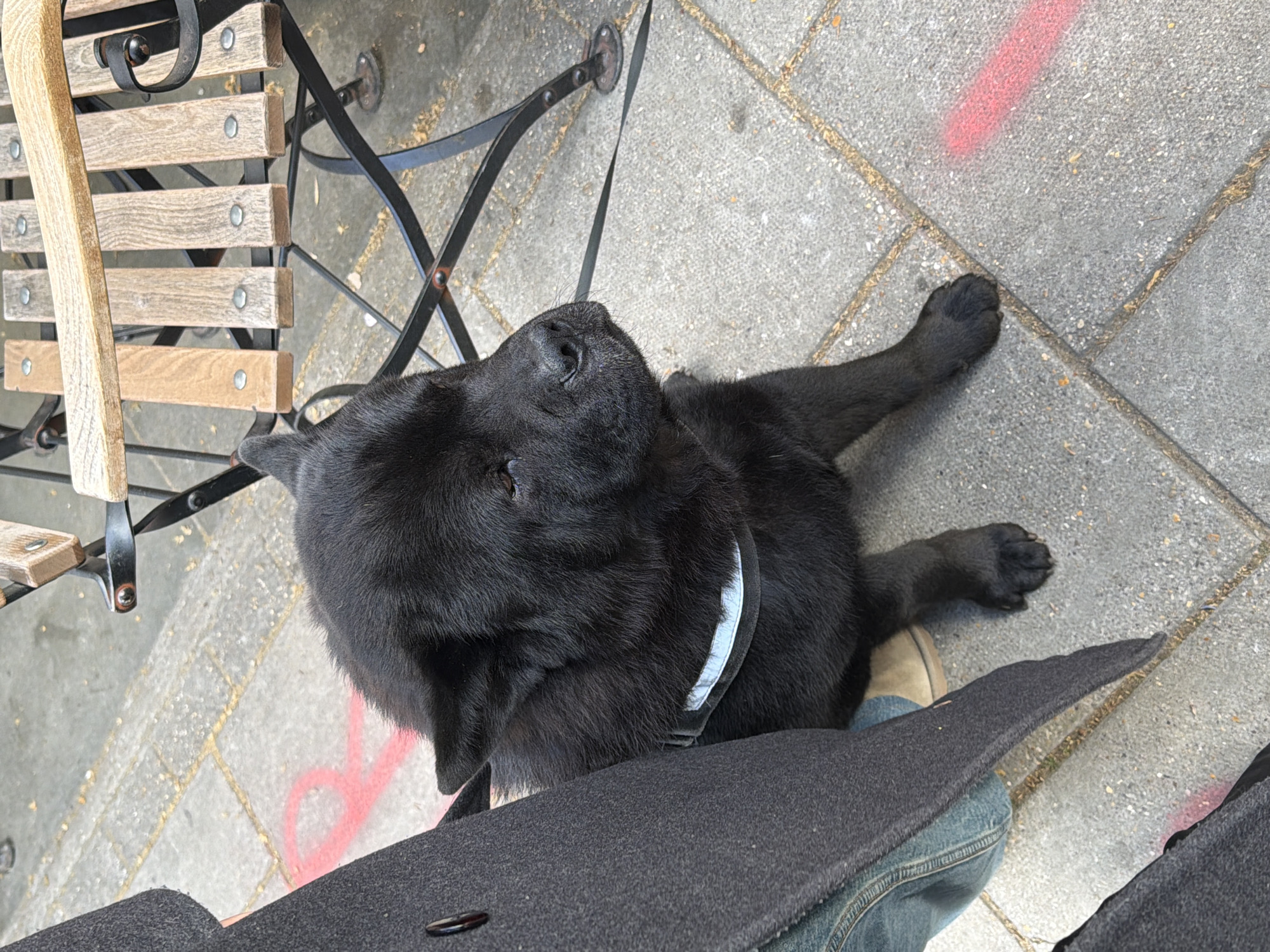 A black dog lies on a paved surface, likely a sidewalk, next to a chair and a person. The dog is on a leash. The chair has a wooden seat and backrest with a black metal frame. The paving stones are light gray with slightly darker grout lines. Red markings, possibly spray paint, are visible on the pavement. The person's leg is visible wearing jeans and a shoe. They are also wearing a dark coat or jacket. The scene appears to be outdoors, possibly at a cafe or restaurant in an urban environment. The exact location is not clear enough to determine the city or country of the image. Without additional context, the specific location in London, United Kingdom, cannot be confirmed.