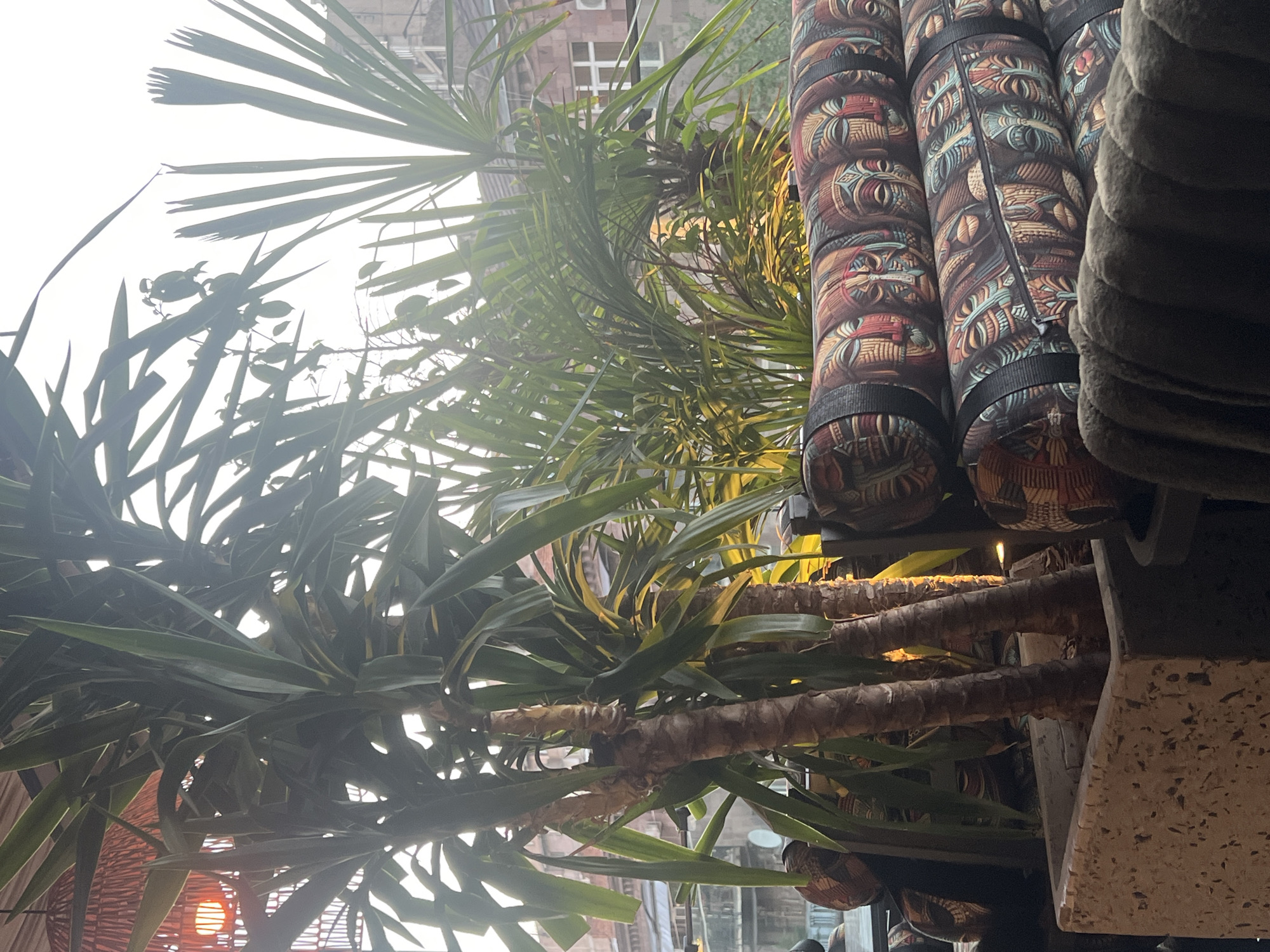 The image presents an upward perspective captured in Yerevan, Armenia. Dominating the foreground is a cluster of tropical plants with long, slender leaves, intermixed with what appears to be a yucca plant. These plants are positioned in front of what looks like a patio or outdoor dining area, with cylindrical cushions wrapped in patterned fabric visible on the upper right side of the frame. A building can be partially seen through the leaves, suggesting an urban setting. The lighting indicates daylight, with the sky being very bright and overexposed in areas.