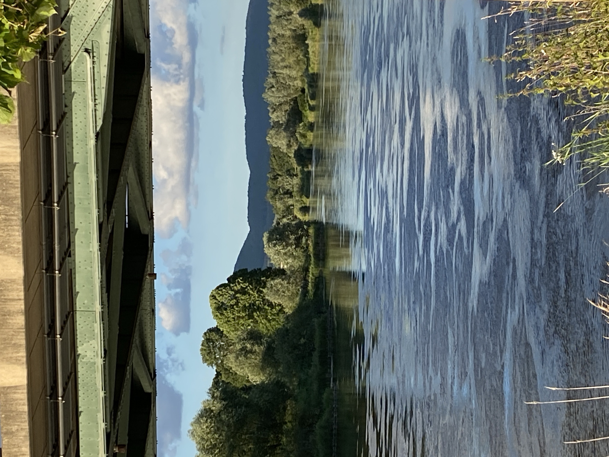 The image depicts a serene river scene in Rinteln, Germany, captured from beneath a bridge. The upper portion of the frame is dominated by the weathered concrete and green steel structure of the bridge, with its intricate beams and rivets visible. Below the bridge, a wide, calm river flows, its surface reflecting the sky and the lush green trees lining its banks. The trees form a dense, verdant backdrop, with various shades of green indicating different species and foliage density. In the distance, rolling hills are silhouetted against a bright blue sky dotted with soft, white clouds. The foreground of the river shows gentle ripples and patterns on the water, hinting at a slight current. Tall, dry grasses and some green vegetation are visible along the river's edge in the lower right corner of the image, adding a touch of natural detail to the scene. No people or animals are present in the image.