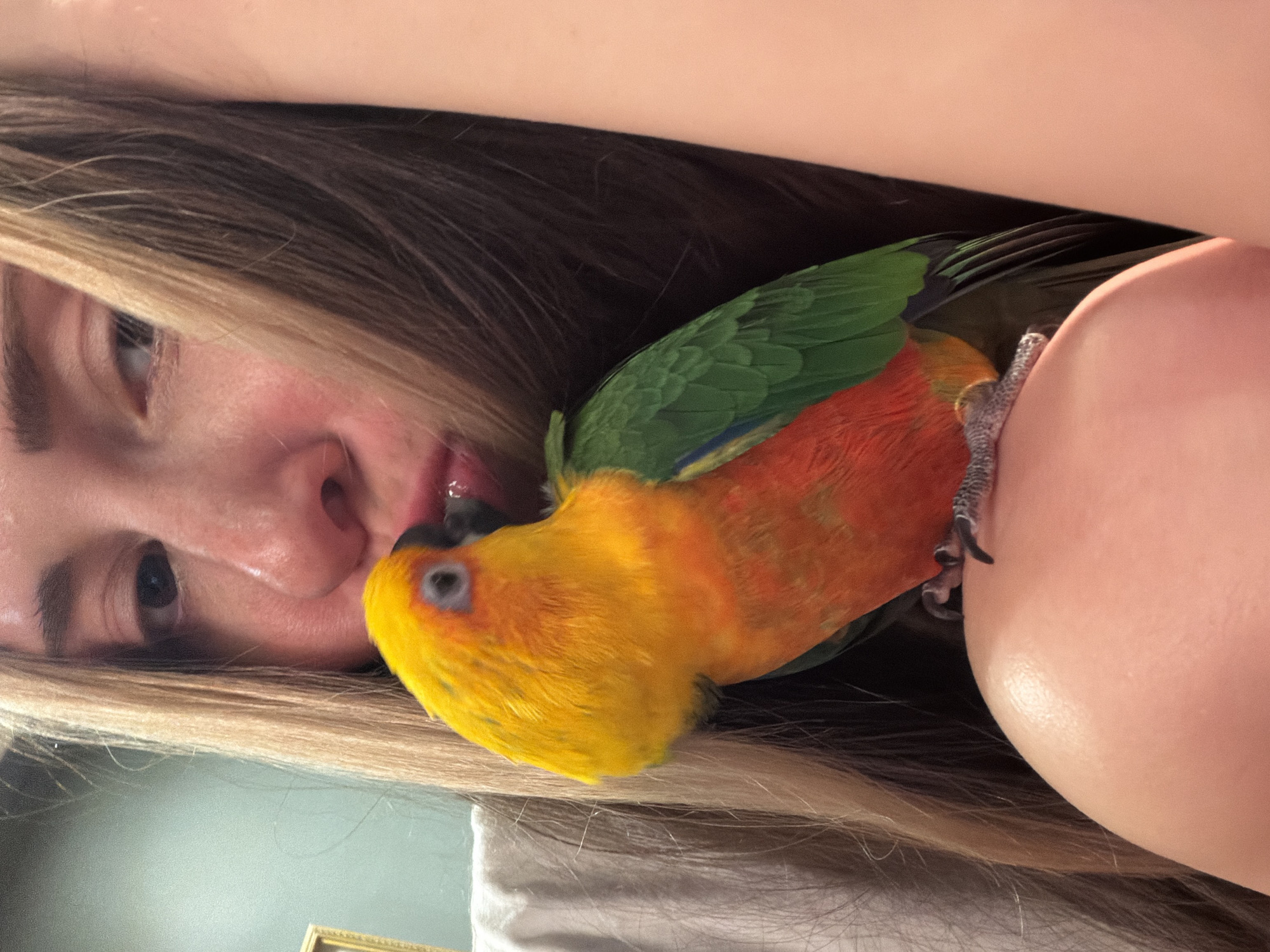 An intimate, close-up indoor shot captures a moment of affectionate interaction between a person and a vibrant parrot. The image is oriented diagonally, showing a person with long, light-brown hair and part of their face on the left side of the frame, looking towards the right. Their expression appears gentle and relaxed, with a hint of a smile.
Perched closely to the person's face and shoulder is a colorful parrot, identifiable as a Sun Conure due to its distinctive bright yellow head, orange chest and belly, and green wings with some blue visible towards the tips. The bird's dark beak is near the person's mouth, and its eye is visible. Its grey, scaled talons are gripping what appears to be the person's shoulder or upper arm. The overall atmosphere suggests a warm, comfortable interaction between a pet and its owner.
The setting appears to be a casual indoor environment, possibly a home, with soft lighting. A small portion of what looks like a white fabric is visible at the bottom left, alongside a sliver of a golden frame. No visible text is present in the image. The event takes place in Khimki, Russia.