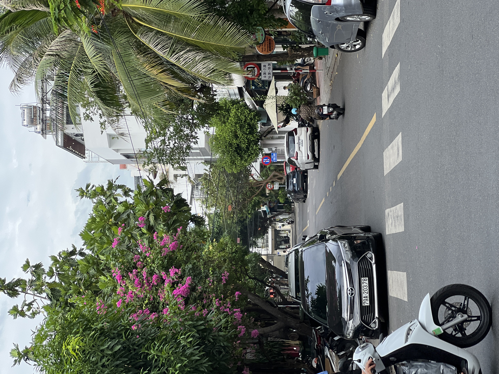 In Nha Trang, Vietnam, a street scene unfolds under an overcast sky. A black sedan, identified by license plate 79A-203.78, is parked on the right side of the road. In front of it, a white scooter is partially visible, its rider's arm extended towards the handlebars. Across the street, a white SUV is parked, and further down, a silver sedan is visible. A person on a scooter, wearing a helmet, rides down the street. Trees with vibrant pink flowers line the left side of the road, while palm trees are present on the right. Buildings with modern architecture are visible in the background, including one with a solar water heater on its roof. Traffic signs, including a circular red sign with a diagonal bar and a rectangular sign with text and times, are present.