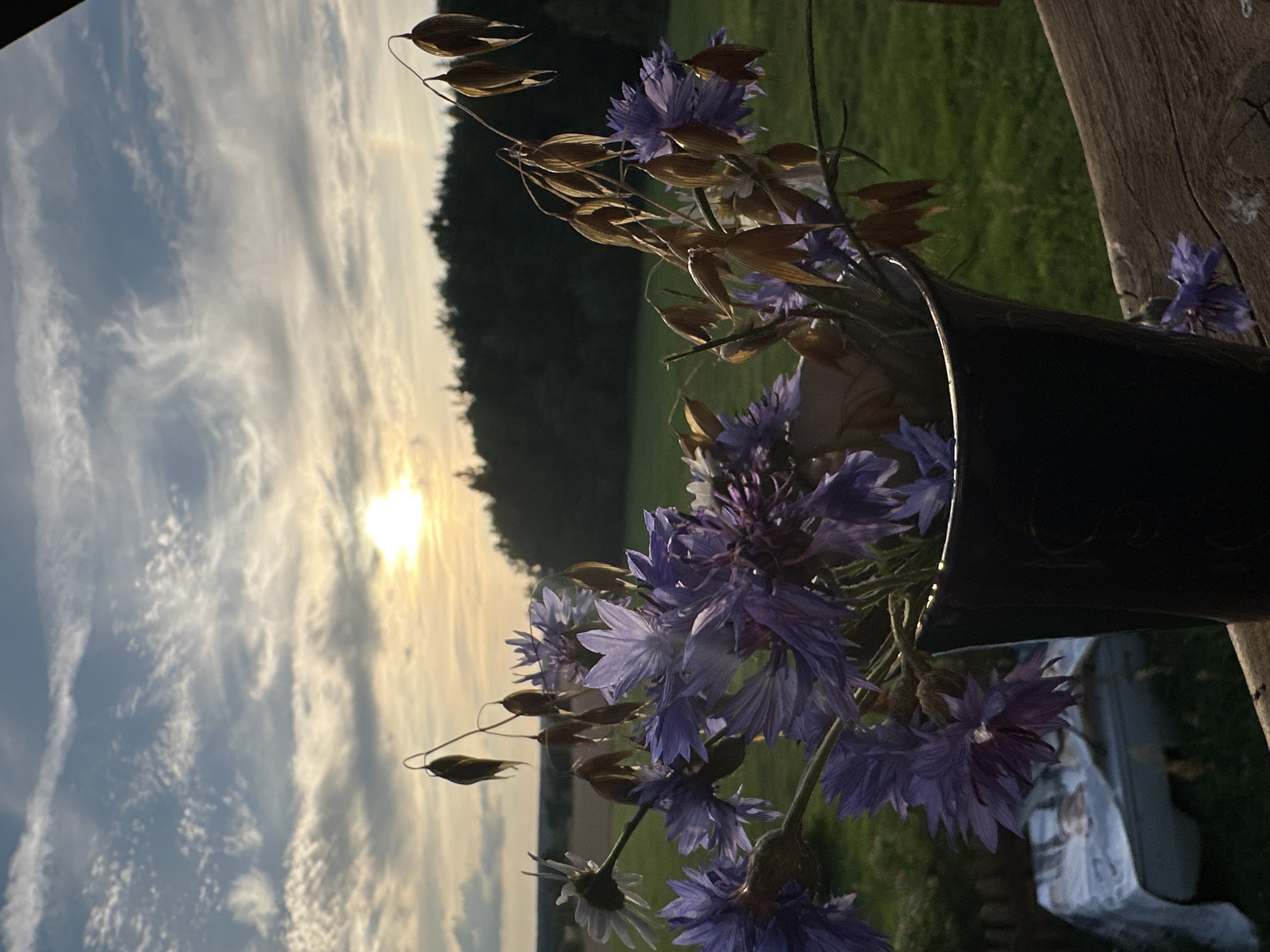 A still life photograph features a bouquet of purple cornflowers and dried oat stalks in a dark vase, positioned on a weathered wooden surface. The bouquet is set against a backdrop of a rural landscape at dusk. The sun is low in the sky, casting a warm glow and creating a soft halo effect. In the distance, a dense line of trees forms a dark silhouette against the horizon. The foreground includes a glimpse of a white sheet draped over an unseen object and the wooden railing of a deck or balcony. The sky above is a mix of blue with scattered wispy clouds, some illuminated by the setting sun. The overall impression is one of serene natural beauty and the peaceful transition from day to night, likely captured in the vicinity of Norviliškės, Lithuania, given the characteristic rural setting. There are no people visible in the frame.