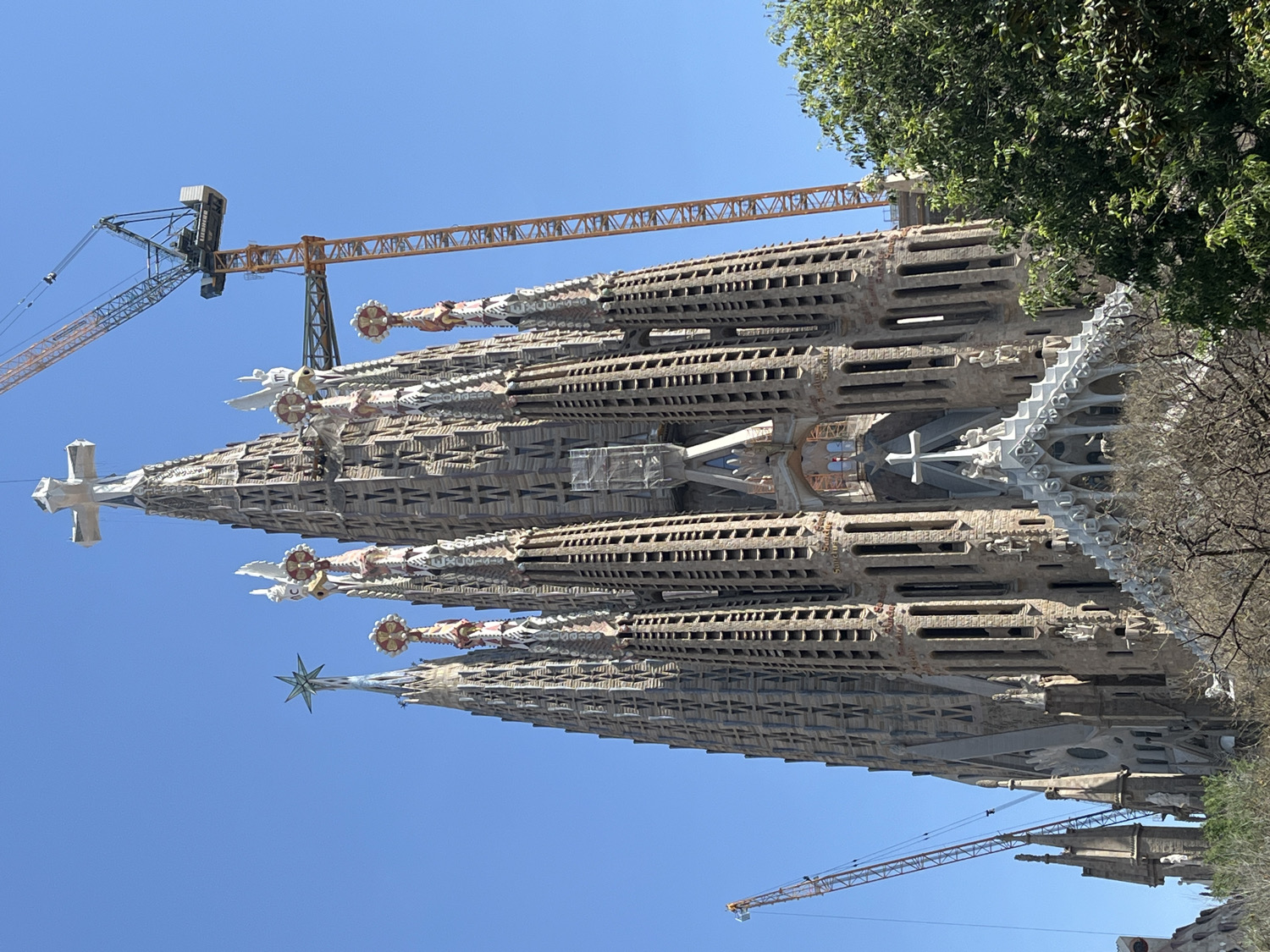 The image displays a partial view of the Sagrada Familia basilica in Barcelona, Spain, set against a vibrant, clear blue sky. The impressive and intricate spires of the basilica dominate the frame, showcasing its distinctive blend of Gothic and Art Nouveau architectural styles. Multiple towers rise vertically, featuring detailed stone carvings, geometric patterns, and openwork sections. Various decorative finials crown the spires, including white crosses and a prominent multi-pointed star on one of the central towers.
Evidence of ongoing construction or maintenance is notable, with two large yellow construction cranes visible. One stretches horizontally across the upper left portion of the image, while a smaller crane boom is partially seen towards the lower right. Lush green foliage from a tree frames the right side of the basilica, with some bare branches from another tree also visible. The cloudless sky indicates a sunny day, likely morning or early afternoon, contributing to the bright lighting of the scene. No people are visible, and there is no discernible text in the image. The photograph captures the grandeur and the perpetual state of development of this world-renowned landmark.
