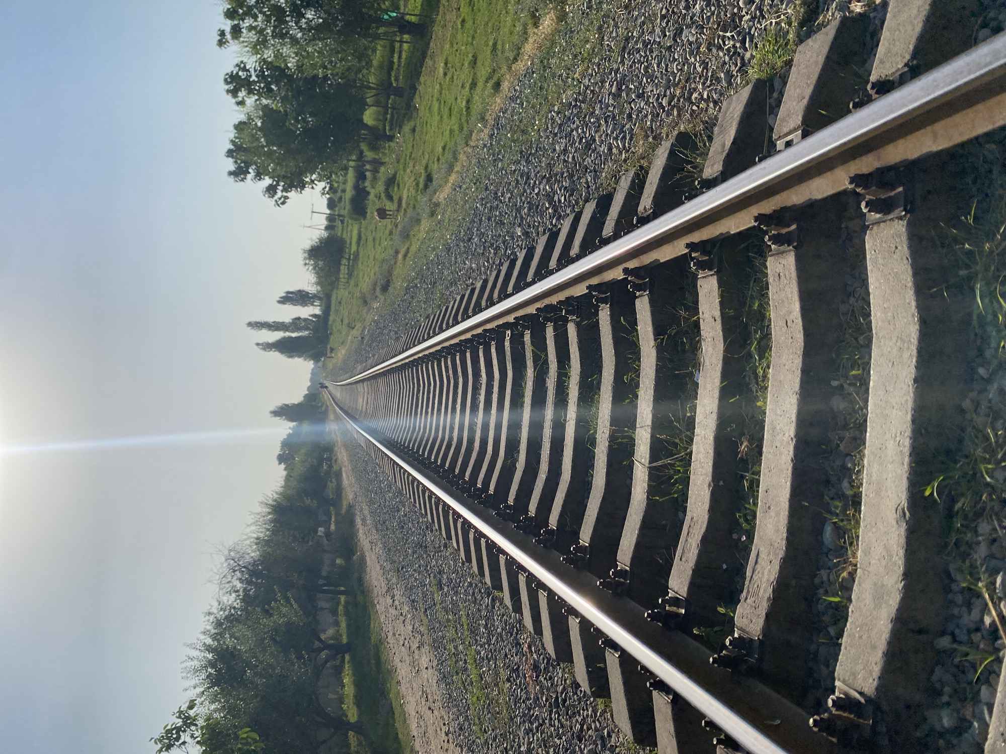 The image depicts a railway track stretching into the distance, bathed in bright sunlight that creates a lens flare effect. The tracks are made of metal rails supported by concrete sleepers, with gravel filling the space between them. On the left side of the tracks, there is a dirt path lined with trees. The right side of the tracks features a grassy field with more trees and bushes. In the distance, a lone brown animal, possibly a cow or horse, can be seen grazing in the field. The sky is clear and blue, with the sun positioned high and slightly to the left of center. The overall impression is a rural setting with a railway line as the central element. The location is identified as Боғистон, Tajikistan.