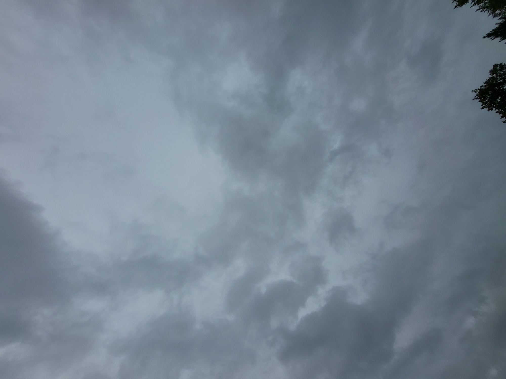 The image shows a cloudy sky over a few trees in Jelgava, Latvia. The clouds are dark and grey, indicating overcast weather. The trees are silhouetted against the sky, with their tops visible at the bottom of the frame. There are no people or any other visible subjects in the image. The environment appears to be outdoors, possibly a park or residential area.
