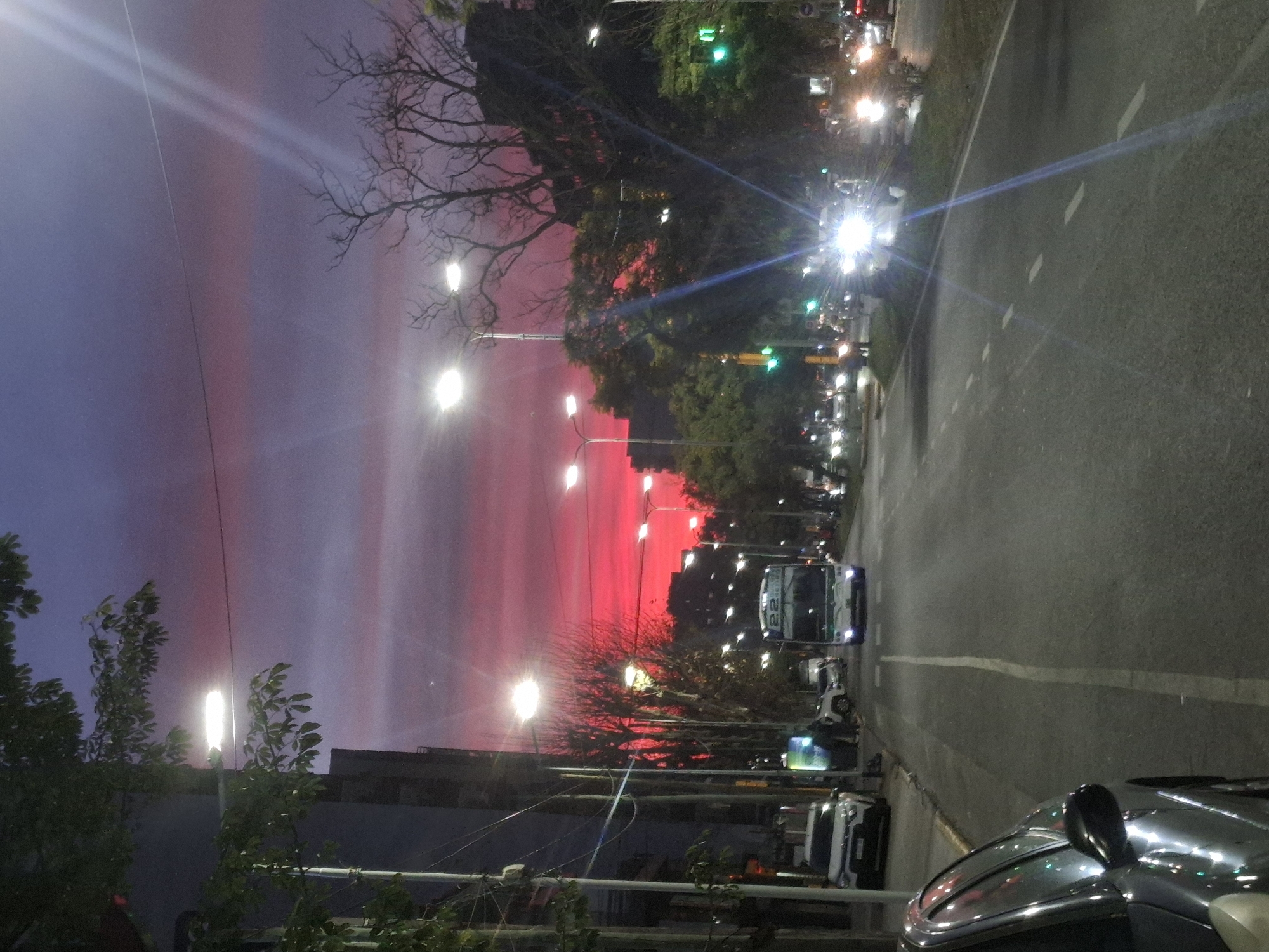 The image depicts a street scene in Wilde, Argentina, during twilight. A vibrant pink and purple sky dominates the upper portion of the frame, with streaks of light suggesting the setting sun or atmospheric conditions. Streetlights are illuminated along a wide, asphalt road, casting pools of light on the pavement.
On the left side of the road, several vehicles are parked, including a white SUV and another dark-colored car. A tree with sparse foliage grows near the sidewalk, its branches partially obscuring a building in the background.
The road is occupied by several vehicles, with a bus prominently positioned in the center lane, heading towards the viewer. Headlights from oncoming traffic create bright flares on the road and in the surrounding trees. Traffic signals, some displaying green lights, are visible at intersections. The overall impression is of an urban environment transitioning from day to night, with the dramatic sky providing a striking backdrop to the everyday activities of the city.
