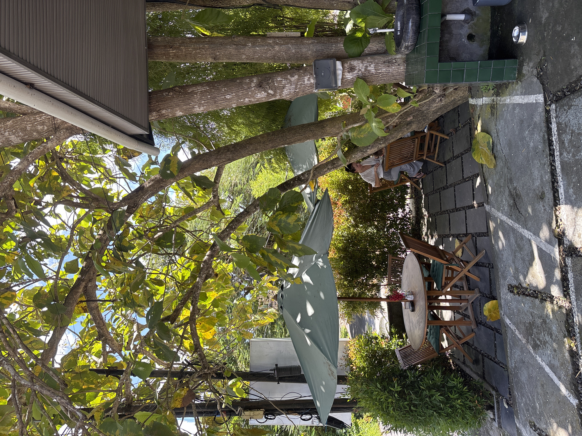 This image, likely taken in Ungasan, Indonesia, captures a scene of a partially outdoor cafe. A building with corrugated metal siding is visible to the left. Mature trees dominate the view, their branches stretching across the frame. One tree is thick with leaves, while the others show more exposed bark.
An occupied, wooden table and chairs are set on a tiled and paved patio area. The table is round and holds a centerpiece of flowers. The patio space also features some greenery planted near the perimeter. Further away, another person is seated in a wooden chair.
A partially obscured umbrella is present. A light-colored utility box and power lines are attached to one of the trees. A drinking fountain or washing station is situated behind the seated person.