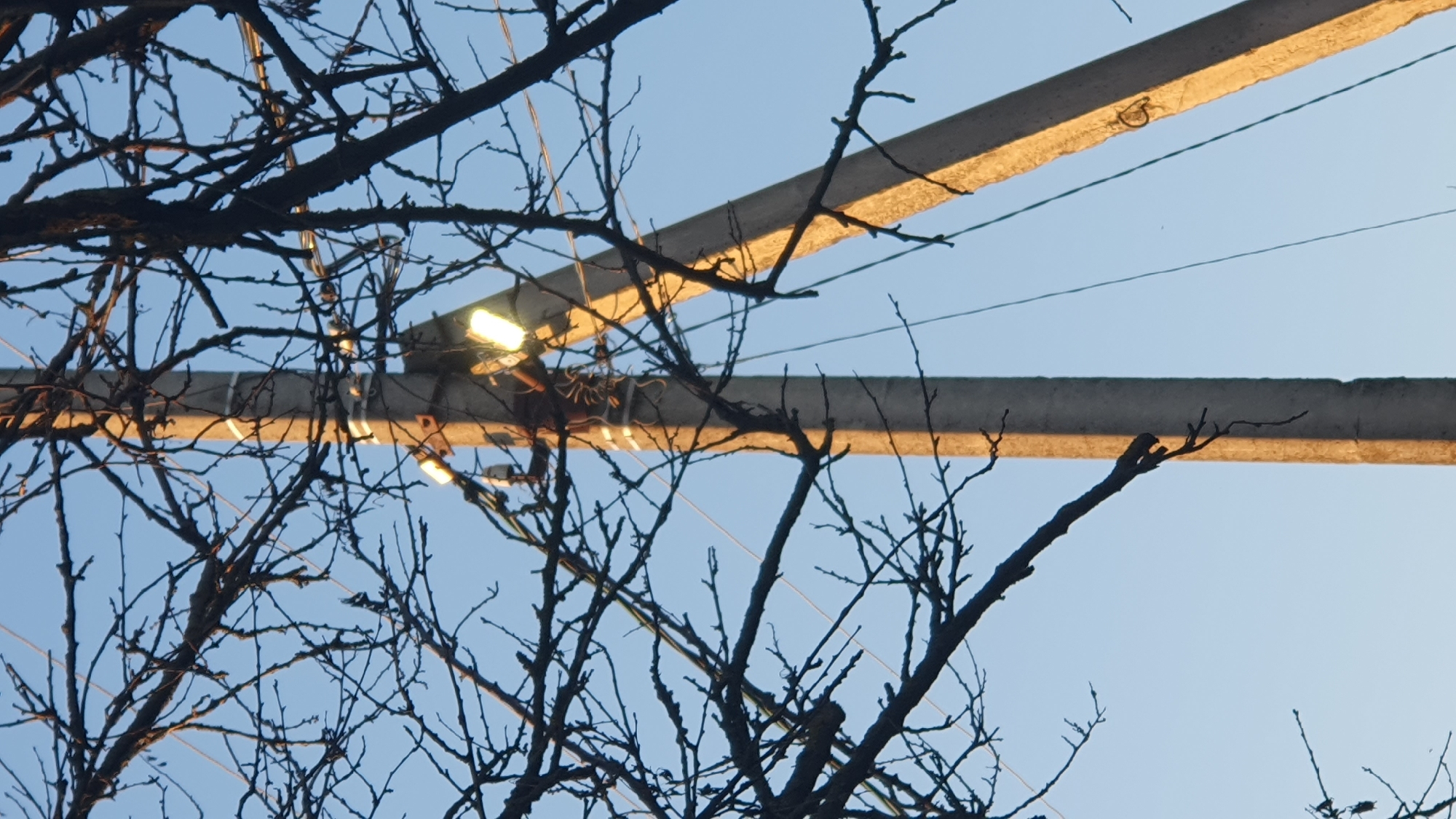 A concrete utility pole with two light fixtures attached stands in the foreground against a clear blue sky. Bare branches of a tree are visible in the foreground and mid-ground, obscuring parts of the pole and the sky. The light fixtures are illuminated, casting a yellowish glow. A second, leaning concrete pole is visible in the background to the right. The image appears to be taken in an outdoor environment, possibly in the city of Ust-Labinsk, Russia. There are no people or animals in the image.
