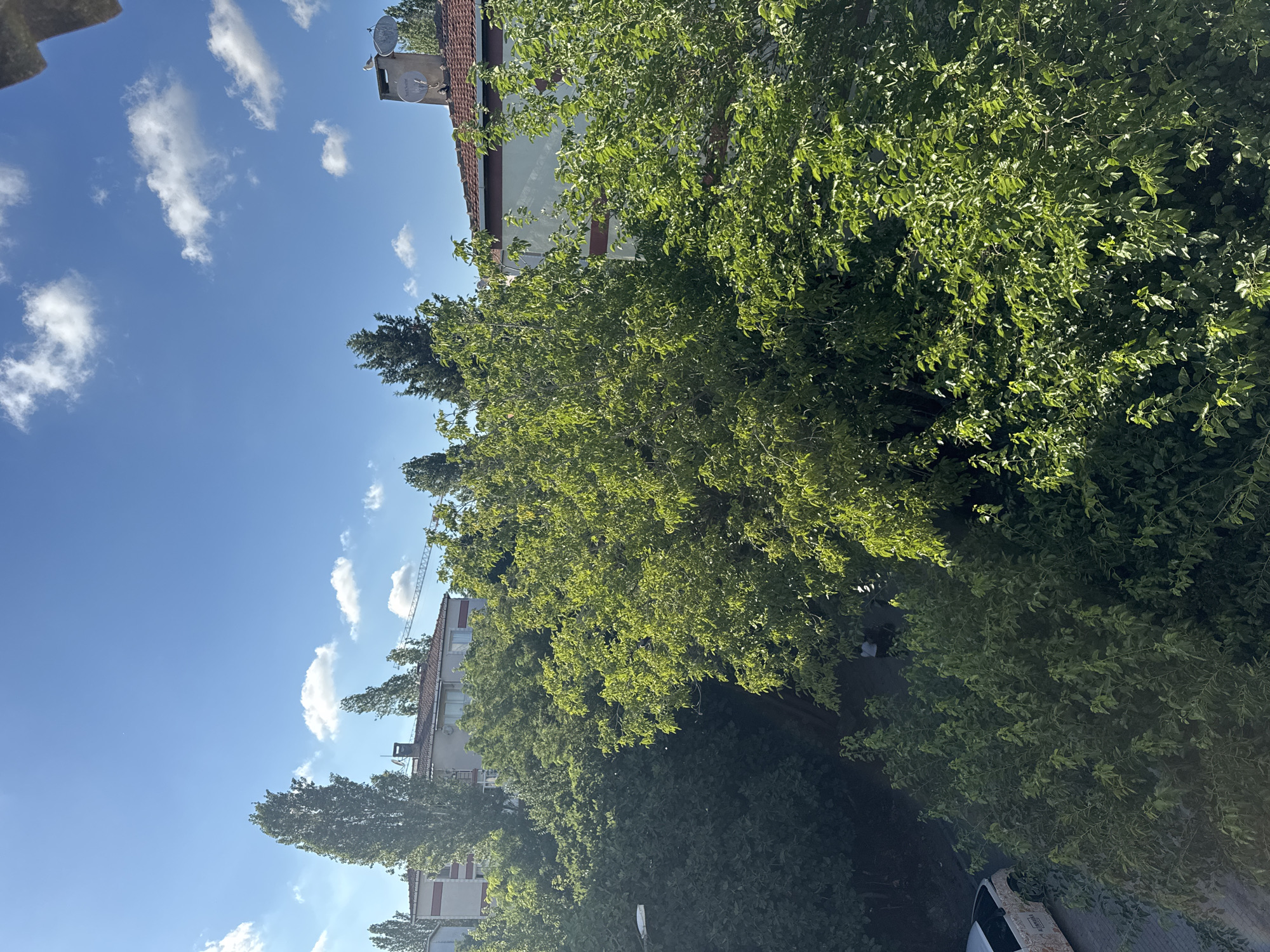 An exterior, high-angle, full shot captures a sunny day in Gungoren, Turkey, with a clear blue sky dotted with fluffy white clouds. Lush green trees dominate the foreground and mid-ground, with sunlight filtering through their leaves. In the background, two buildings are visible, their white facades accented with red horizontal stripes. One building has a red-tiled roof and a chimney topped with satellite dishes and a bird. A construction crane is visible in the distance, suggesting ongoing development. The lower left corner shows a paved area with a white car and two figures walking, partially obscured by the foliage. The scene is peaceful and appears to be a residential area.