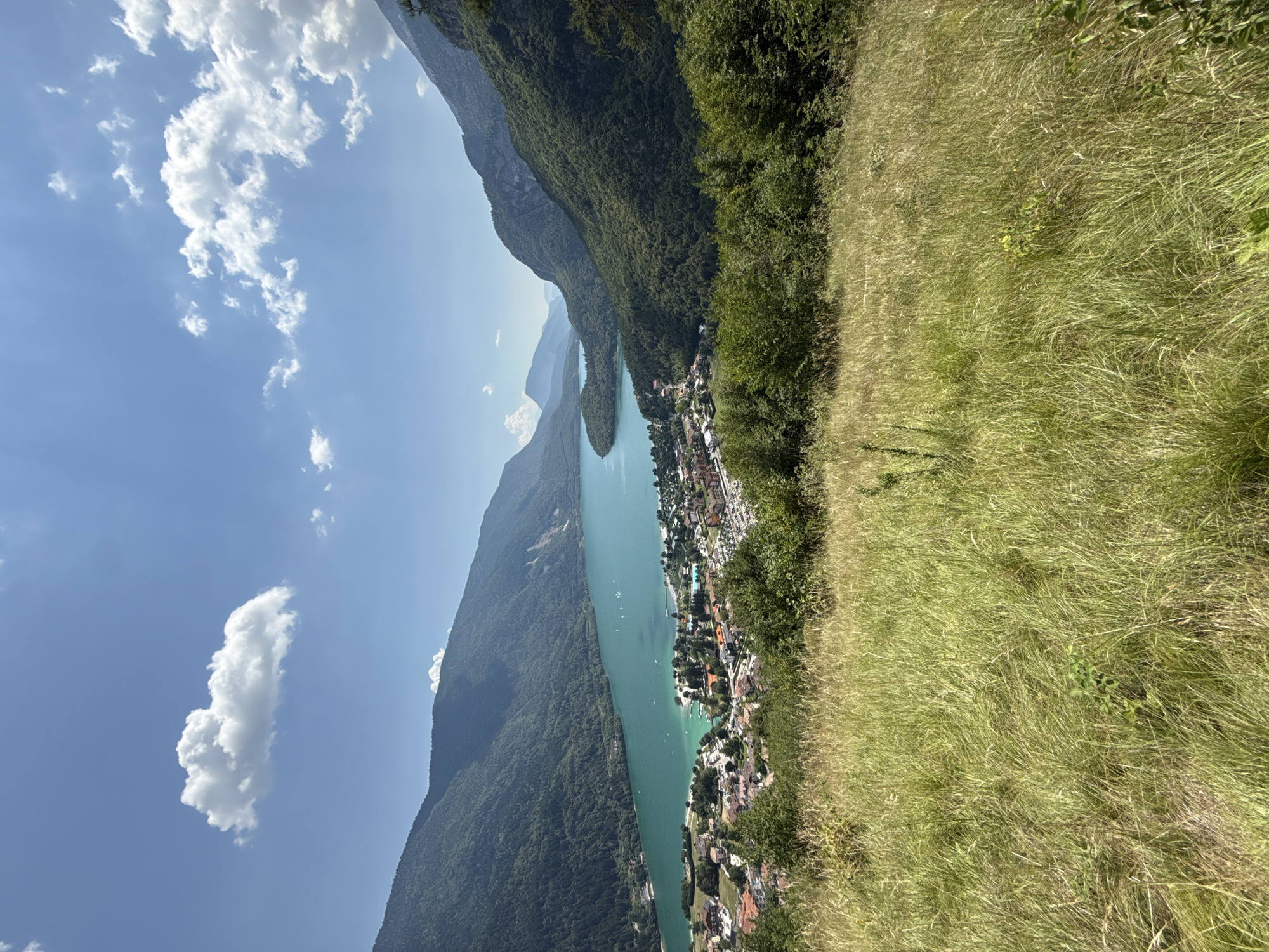The image depicts a scenic view of Molveno, Italy, overlooking Lake Molveno and the surrounding Dolomite mountains. The foreground is dominated by a grassy, sun-drenched hillside with tall, dry grasses. In the midground, the picturesque town of Molveno is nestled along the shore of the lake, characterized by its terracotta-roofed buildings, a small harbor with several boats, and recreational areas including tennis courts. The lake itself is a striking turquoise color and appears calm, with a few sailboats visible on its surface. The background features the majestic, tree-covered slopes of the mountains that encircle the lake, their green hues contrasting with the clear blue sky dotted with fluffy white clouds. The overall impression is one of tranquility and natural beauty, likely captured on a bright, sunny day.