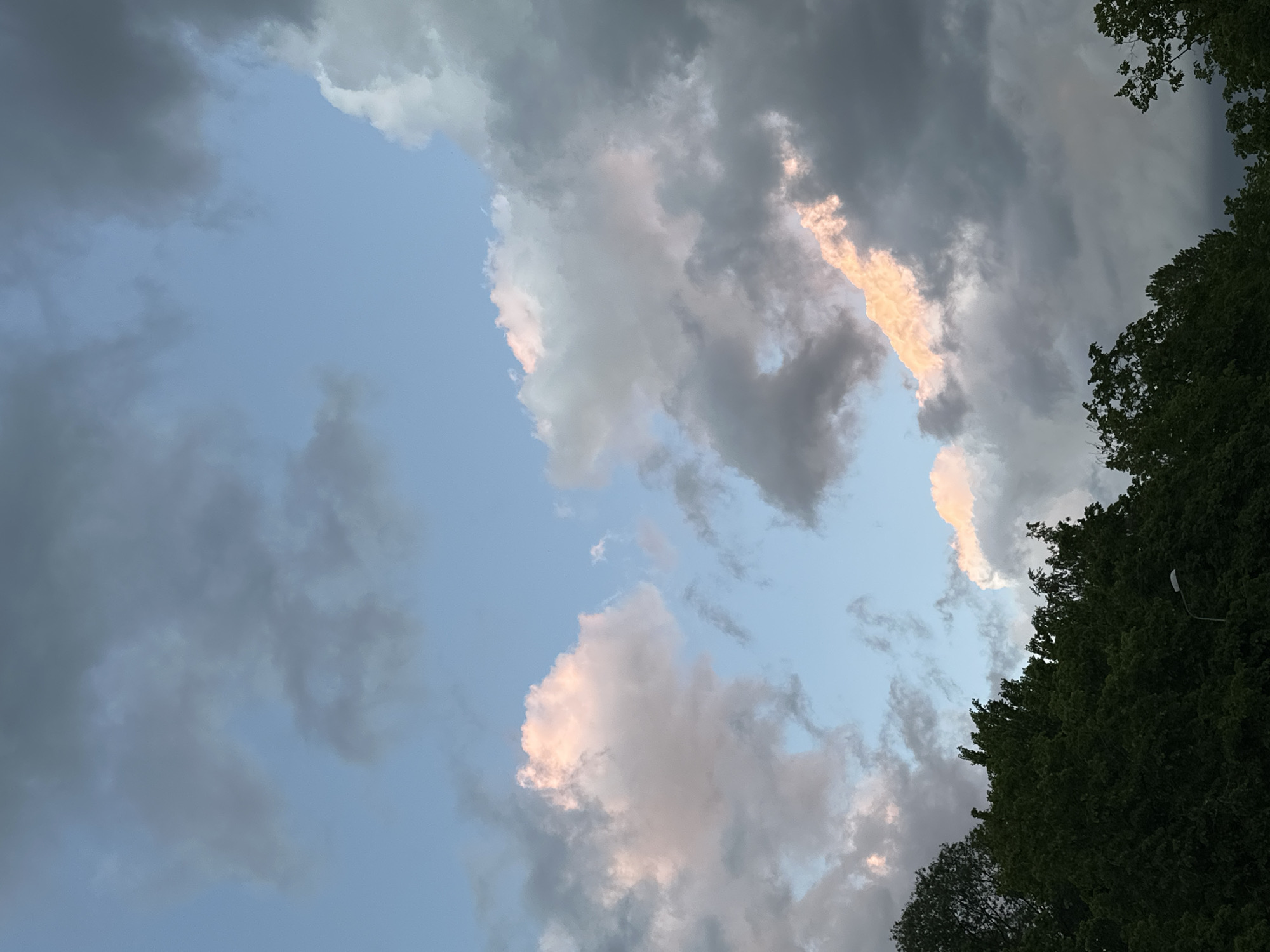 The image is a low-angle shot of the sky, partially obscured by trees. The sky is a pale blue, with a mix of light gray and dark gray clouds. Some of the clouds are tinged with a light pink or orange color, possibly from the setting sun. The trees are a dark green and are visible on the right side of the image, partially framing the sky. There is a lamppost visible amongst the foliage. The image appears to be taken in the city of Riga, Latvia.