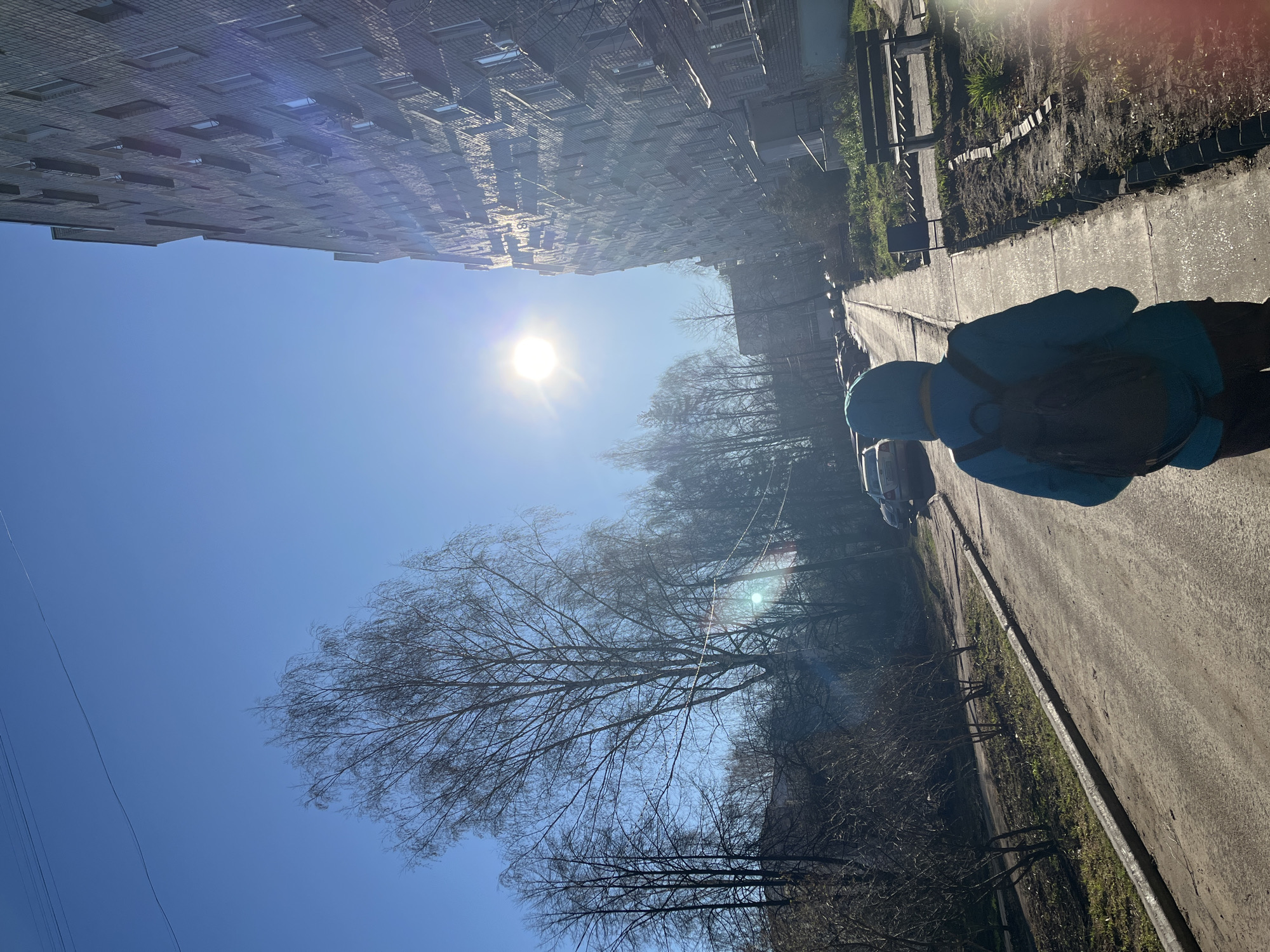 The image captures a sunlit street scene in a residential area, likely in Chaikovsky, Russia. On the left side of the frame stands a tall, multi-story building, possibly an apartment complex, featuring numerous windows and what appear to be balconies. The building's facade brightly reflects the intense sunlight.
A person is visible from behind on the right side of the image, walking away along a paved road or path. They are wearing a blue or teal hooded jacket with a yellow or light-colored band near the hood and carrying a dark backpack. The road is bordered by a concrete curb, beyond which lies a strip of dirt and sparse green grass, alongside what appear to be low fences or barriers. Further down the road, several parked cars are partially visible.
The sky is a clear, bright blue, with the sun prominently positioned high overhead, creating significant glare and lens flares. Throughout the mid-ground and background, numerous deciduous trees are visible, all bare of leaves, indicating either late winter or early spring. Faint power lines stretch across the sky in the upper left. The scene portrays a calm, bright day with no specific event unfolding beyond the person's walk along the street. No discernible text is visible in the image.