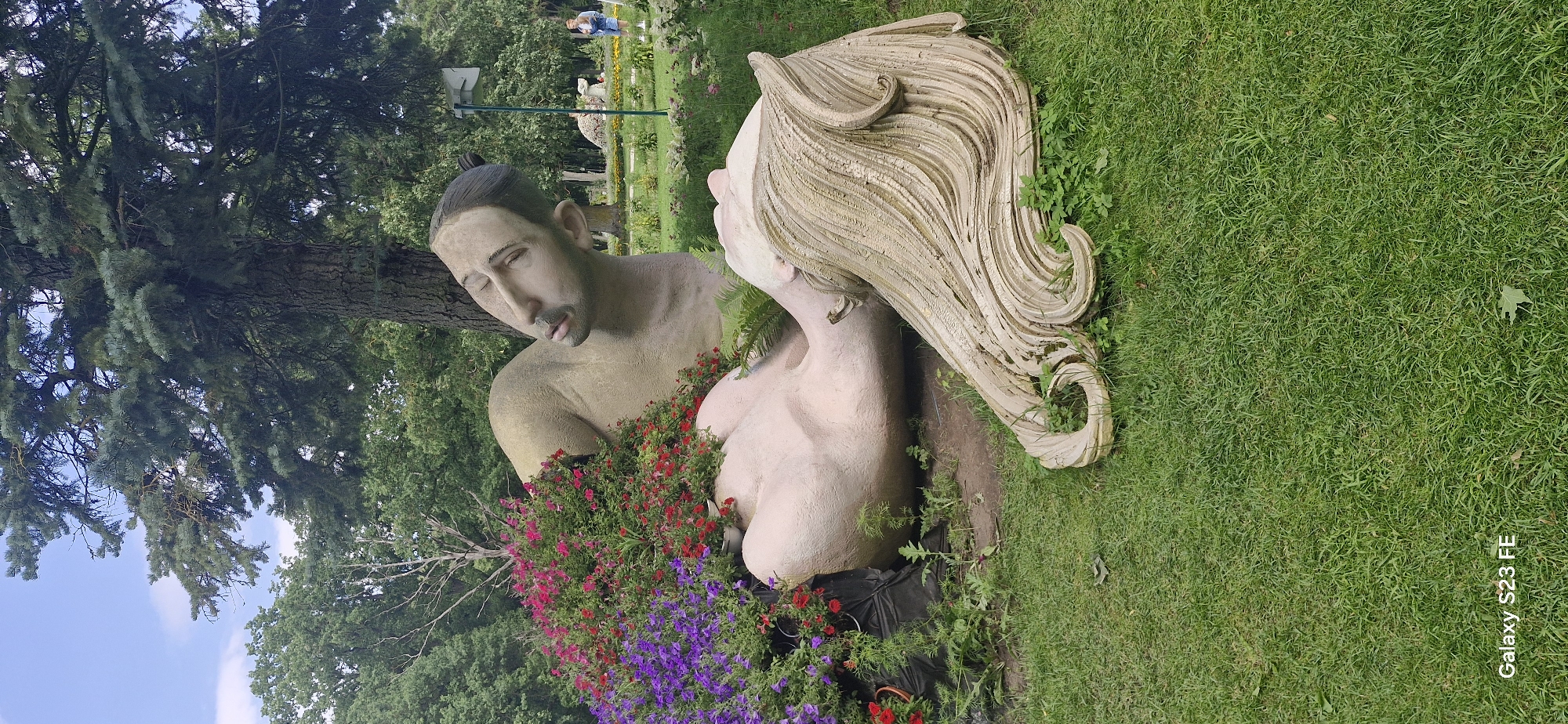 The image shows a sculpture in an outdoor park setting. The sculpture depicts two figures, seemingly intertwined or lying down. One figure is lying on its side, with its head resting on its arm, and appears to be male with short dark hair pulled back in a bun. This figure is adorned with colorful flowers, primarily red and purple, around its torso and arm. The other figure is lying on its back, with its head turned away from the viewer, showcasing a large mass of sculpted blonde hair with swirling patterns. The figures appear to be made of a light-colored material, possibly concrete or plaster. They are situated on a grassy area, with a large tree with dark bark and green foliage providing a backdrop. In the background, there are more trees, some decorative bushes, and a paved pathway. A person wearing a blue jacket and denim shorts is visible in the distance, walking along the pathway. The environment suggests a public park or garden, possibly in the city of Pakruojis, Lithuania, given the mention of the city in the prompt. The overall scene conveys a sense of art installation within a natural landscape.