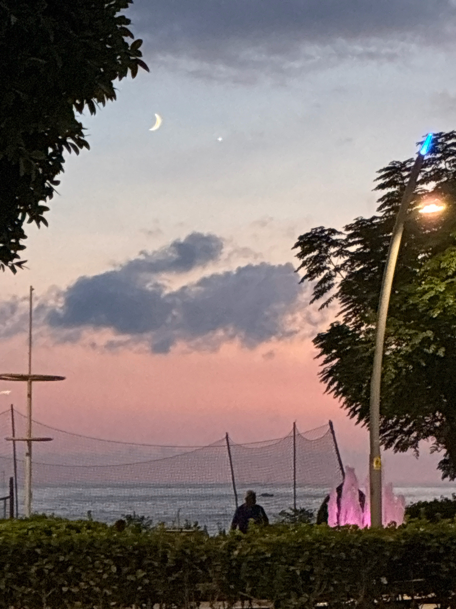 A crescent moon and a bright star are visible in the twilight sky above Alanya, Turkey. The sky transitions from a pale blue to a soft pink hue. Dark clouds are scattered across the sky, with one prominent cloud formation appearing in the mid-left section. In the foreground, dark green foliage lines the bottom of the frame. Behind the foliage, a body of water, likely the Mediterranean Sea, stretches towards the horizon. A net structure, possibly for a sports court, is visible in the middle ground, supported by poles. To the right, a street lamp with a warm yellow glow illuminates a tree with dark, dense foliage. A fountain in the mid-right is lit with vibrant pink light, creating a striking visual contrast. Silhouettes of people are present near the fountain and along the shoreline, suggesting a public area. A mast-like structure is visible to the left, adding to the coastal atmosphere.