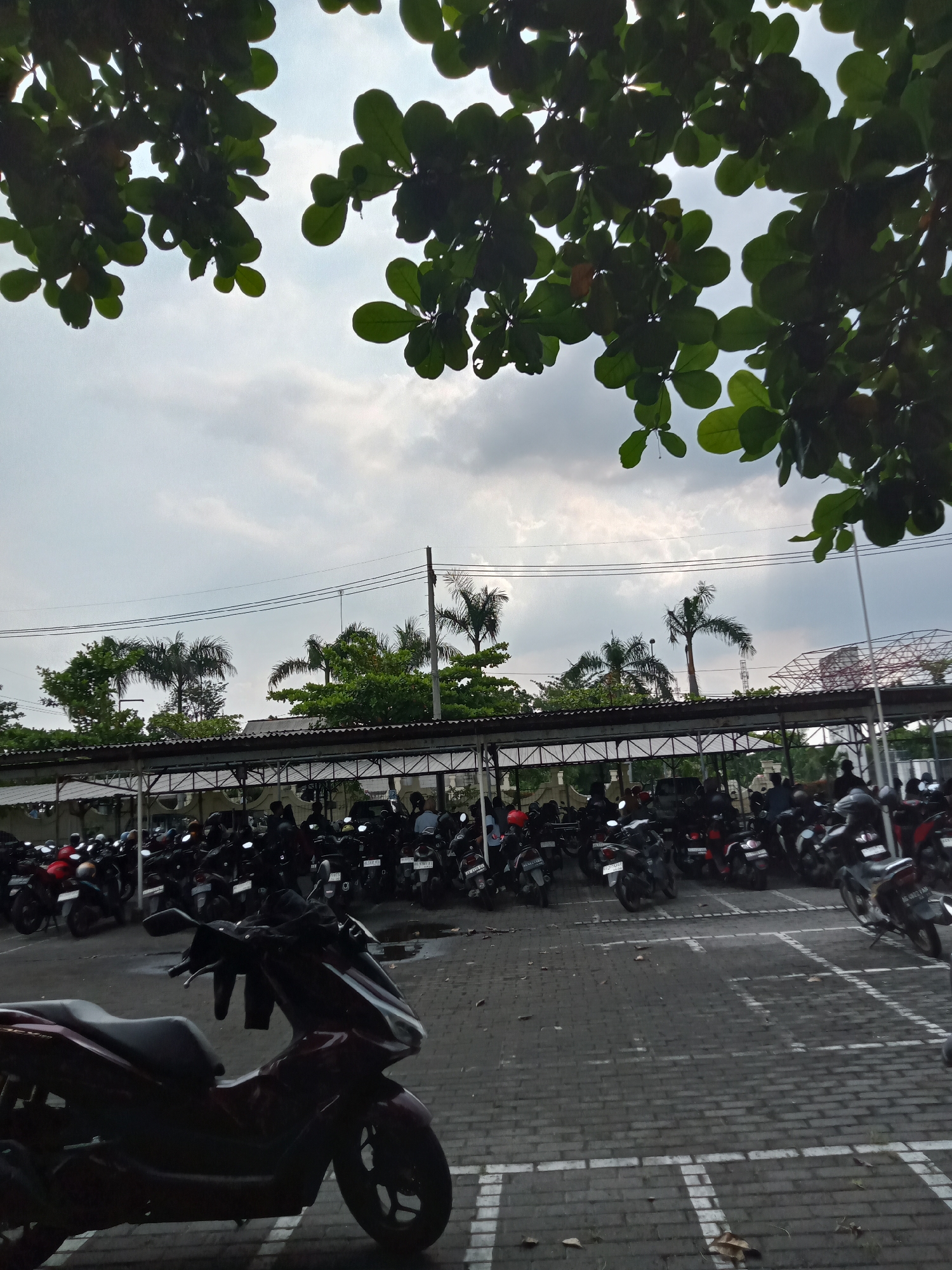 The image depicts a large, outdoor motorcycle parking lot under a heavily overcast sky. In the immediate foreground, dense, dark green foliage from a tree frames the top and left of the shot. A dark red or maroon scooter is prominently parked in the lower-left foreground, partially in shadow on a paved surface of interlocking bricks, marked with faded white parking lines.
The midground is dominated by hundreds of motorcycles, predominantly scooters, parked tightly together beneath a long, covered structure with a metal roof supported by pillars. Several individuals are visible amidst the parked motorcycles; some appear to be seated on their bikes, while others are standing or walking. Their forms are largely obscured by the sheer number of vehicles.
In the background, beyond the covered parking, more lush greenery, including tall palm trees, rises against the cloudy sky. Overhead power lines stretch across the mid-to-upper section of the image. The overall lighting is soft and diffused due to the thick cloud cover, indicating a cloudy daytime setting. No specific event is unfolding other than the typical activity of a bustling parking facility. While license plates are visible on many motorcycles, no discernible text is clearly legible due to the distance and resolution. The scene evokes a common sight in urban or semi-urban areas in places like Nglundo, Indonesia, where motorcycles are a primary mode of transportation.