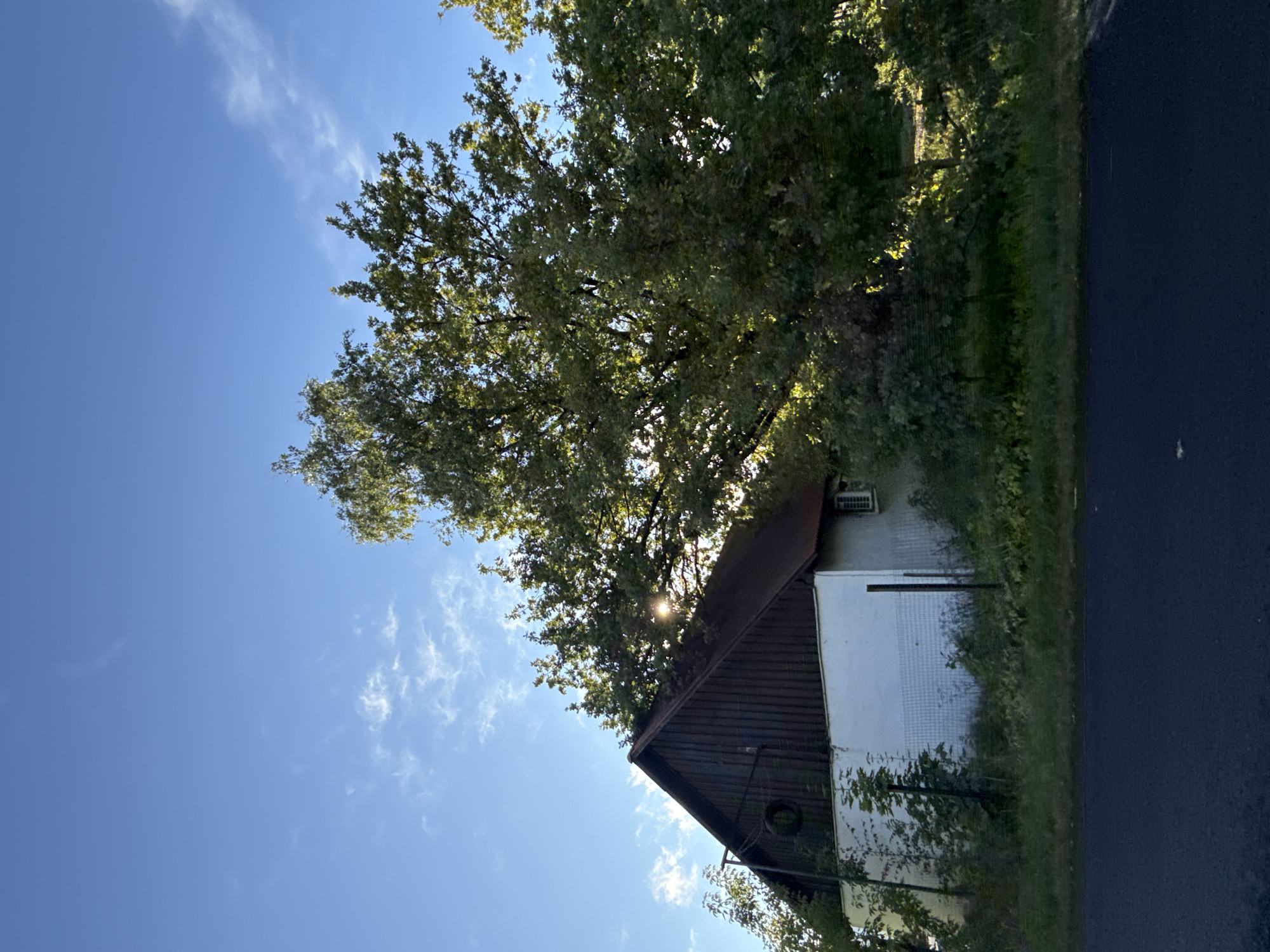 This is a full, eye-level, outdoor shot of a building and trees under a bright blue sky with scattered white clouds. A large, mature deciduous tree with lush green foliage dominates the right side of the frame, partially obscuring a building on the left. The building has a dark, sloped roof and a white lower section with a grid pattern. A small, rectangular window is visible on the right side of the building. The area around the building is overgrown with green vegetation. In the foreground, a dark asphalt road runs horizontally across the bottom of the image. The sun is visible behind the leaves of the tree, creating a sunburst effect. There are no people or animals visible in the image. The scene appears to be a rural or suburban setting.