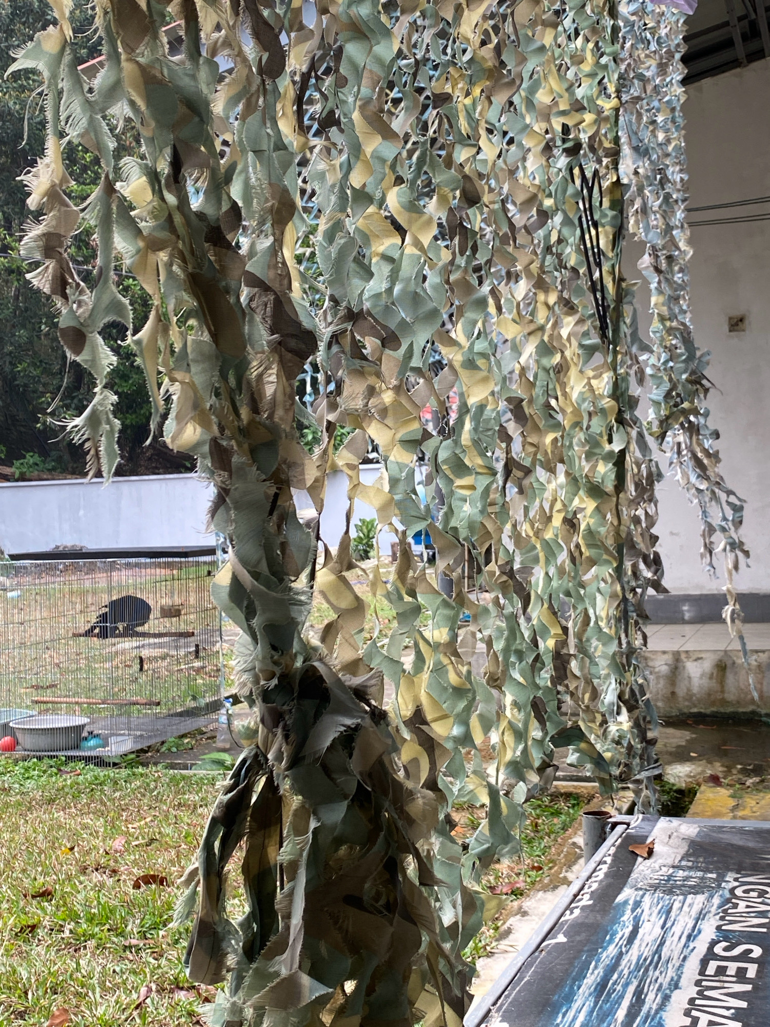 An outdoor scene features a camouflage netting made of torn fabric in muted green, brown, and tan colors. The netting hangs down, obscuring much of the background. To the left, a wire cage is visible, containing a dark-colored bird, possibly a chicken, resting on a perch. A metal bowl and a red ball are also present within the cage. The ground is covered with green grass and scattered brown leaves. In the far background, a white wall and some trees can be seen. The overall setting suggests an outdoor area, possibly a backyard or an unkempt yard within a residential or industrial area of Tanjung Pinang, Indonesia. The lighting indicates it is daytime, with shadows suggesting a sunny environment.