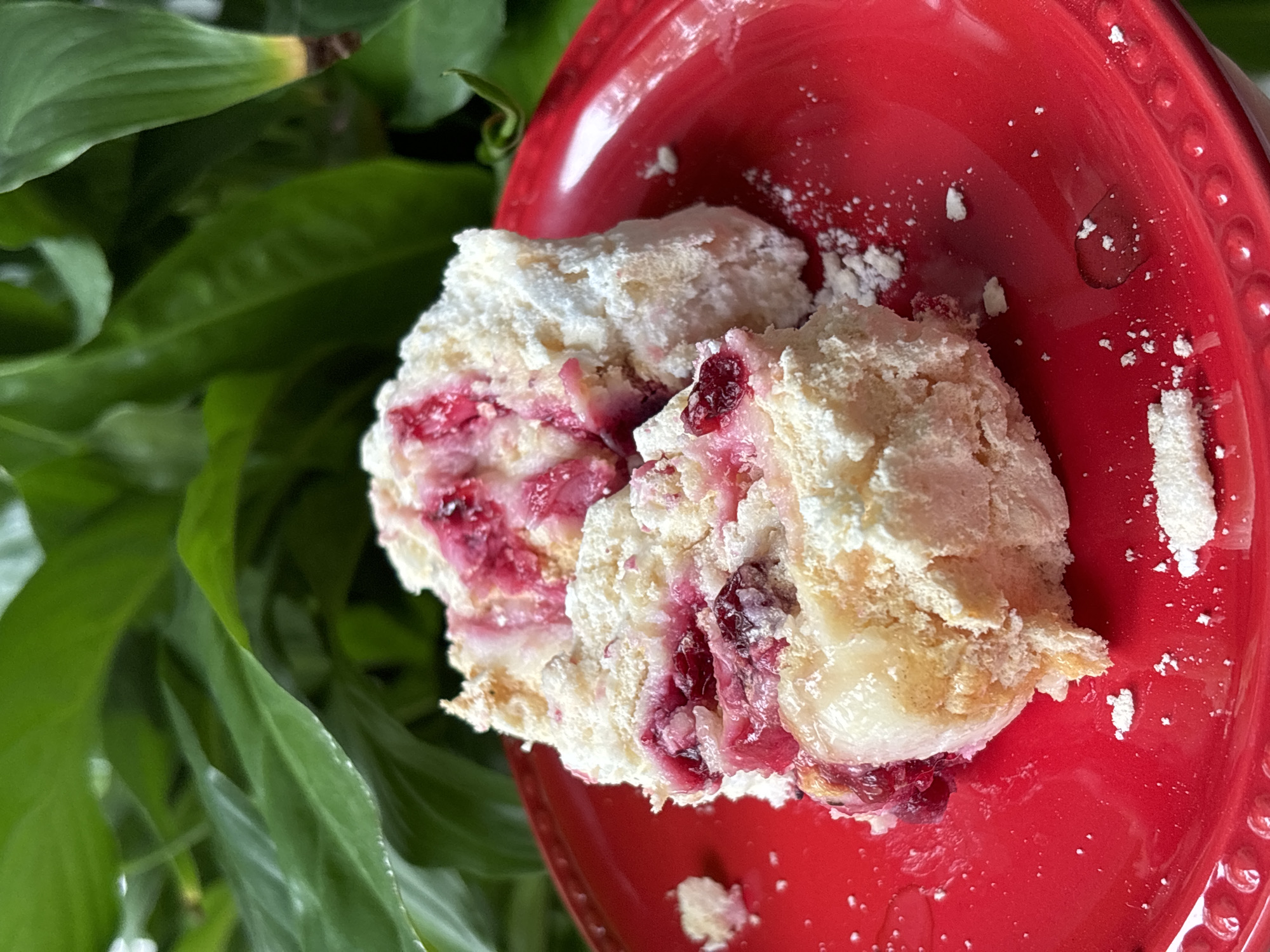 A slice of roulade cake with berries is presented on a red plate. The cake has a light, airy texture and is filled with a creamy substance and red berries. The plate is speckled with powdered sugar, suggesting it was recently served. The background consists of lush green foliage, creating a natural and vibrant setting. The scene is shot from a top-down angle, highlighting the appetizing dessert. There are no people or animals visible in the image, nor are there any specific landmarks or geographical features that would indicate a location in Chaikovsky, Russia.