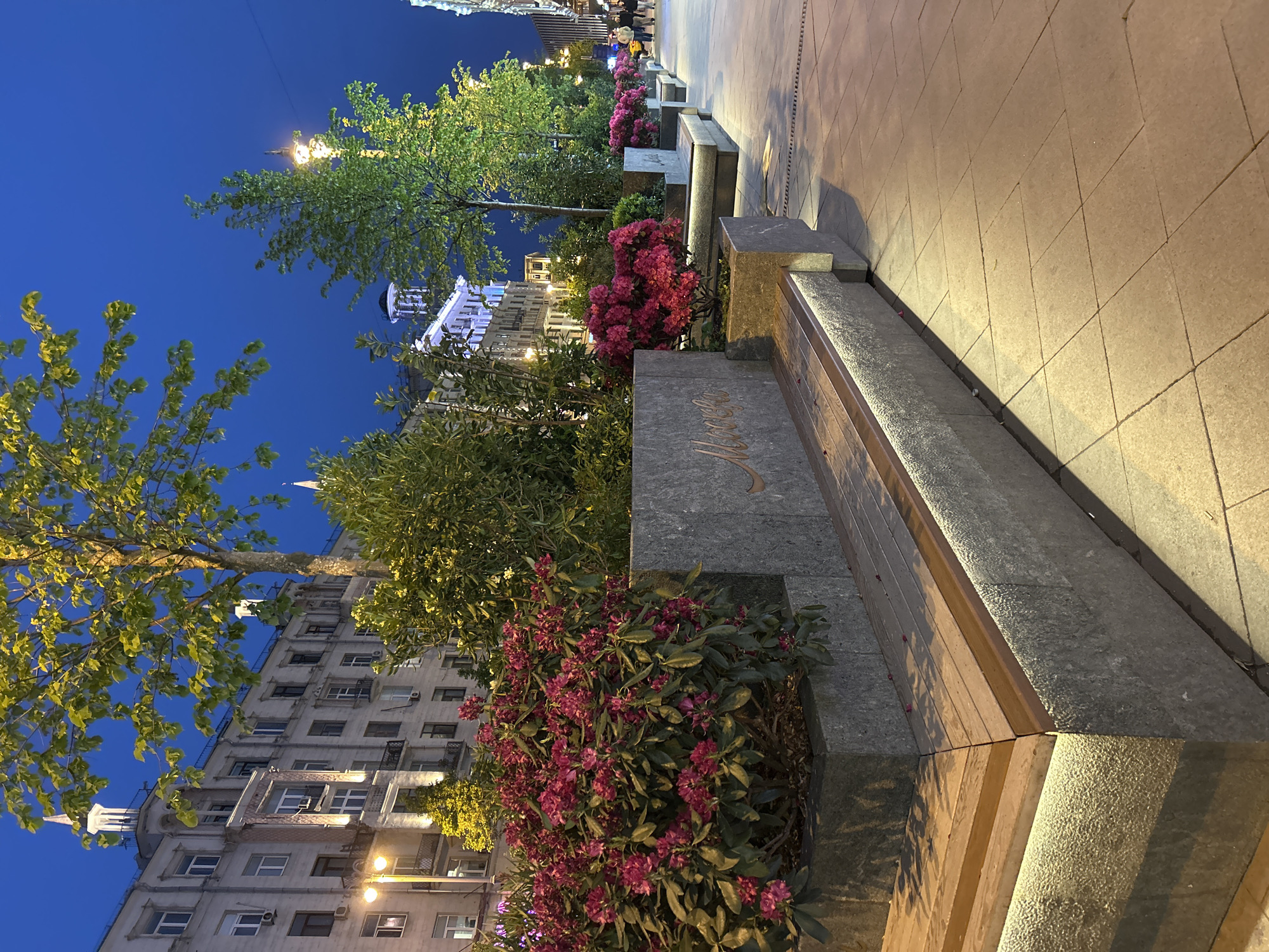 The photograph captures an urban scene at night, taken from ground level, with the image rotated 90 degrees counterclockwise. Dominating the foreground is a series of modern, park-style benches constructed from wood and granite. The benches are situated alongside planters filled with greenery and vibrant pink flowering bushes.
The background features city buildings illuminated by streetlights. The architecture appears to be European in style, with multiple stories and ornate details on some of the buildings. Tall trees, also lit by streetlights, frame the scene and add to the urban park setting.
The sky is a deep blue, indicating that it is either dusk or night. The overall lighting suggests a well-lit urban environment with the streetlights providing the primary illumination.
In the top portion of the image, blurry figures can be seen walking on the sidewalk.
