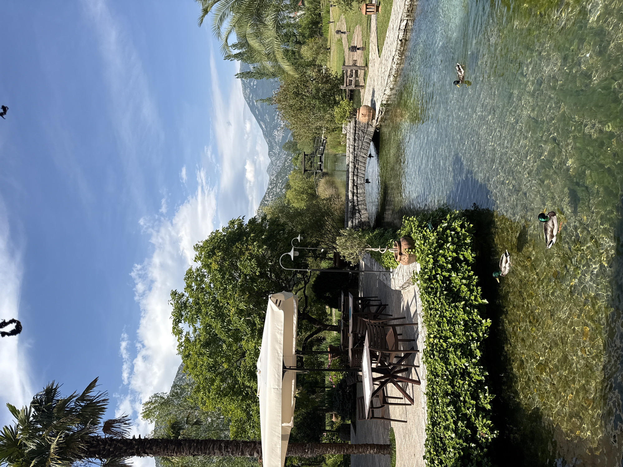 The image shows an outdoor seating area by a clear stream in Morinj, Montenegro. A white umbrella shades several tables and chairs. The stream flows past lush green vegetation and a stone bridge in the background. Ducks swim in the water, and palm trees and mountains are visible in the distance. The sky is blue with some white clouds.