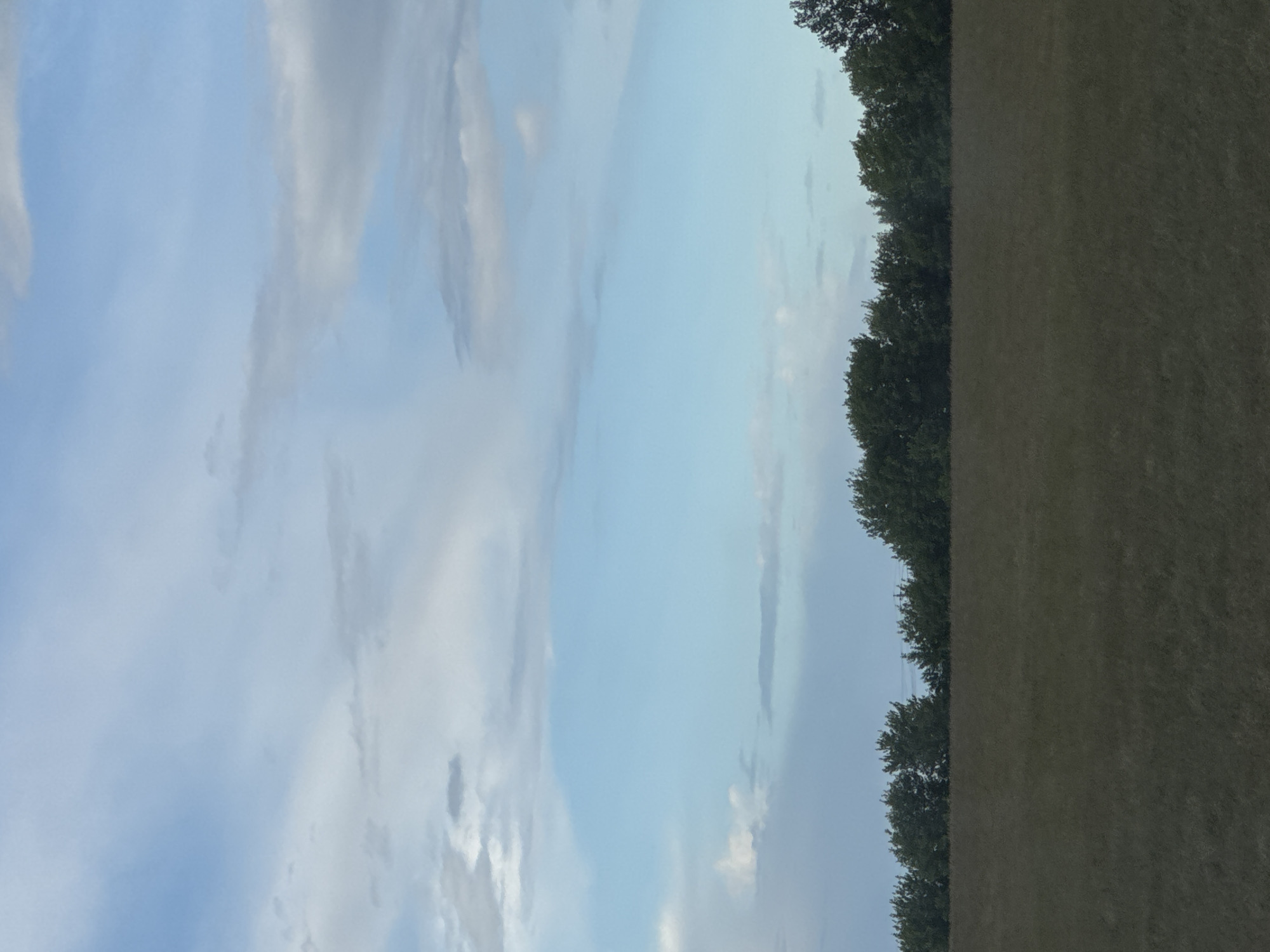 A horizontal, full shot shows a cloudy, blue sky above a distant treeline and a foreground field. The sky takes up the top two-thirds of the frame and is filled with white and grey clouds against a light blue background. Below the sky, a dark green treeline stretches horizontally across the mid-ground. The field in the foreground is a muted brown and is sparsely populated with dried grass. The image appears to have been taken outdoors in a rural setting, likely the Бальшавіцкі сельскі Савет in Belarus.