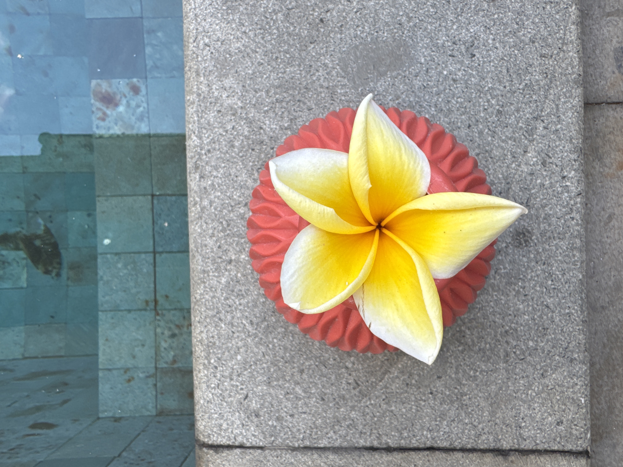 In Kuta Selatan, Indonesia, a solitary plumeria flower with yellow and white petals rests on a red circular decorative element situated on a rough, grey concrete ledge. Beyond the ledge, the turquoise water of a swimming pool is visible, with the tiled bottom of the pool appearing as a mosaic of blue and grey squares, some showing reddish discoloration. The scene suggests a serene, poolside setting, possibly in a resort or private residence.