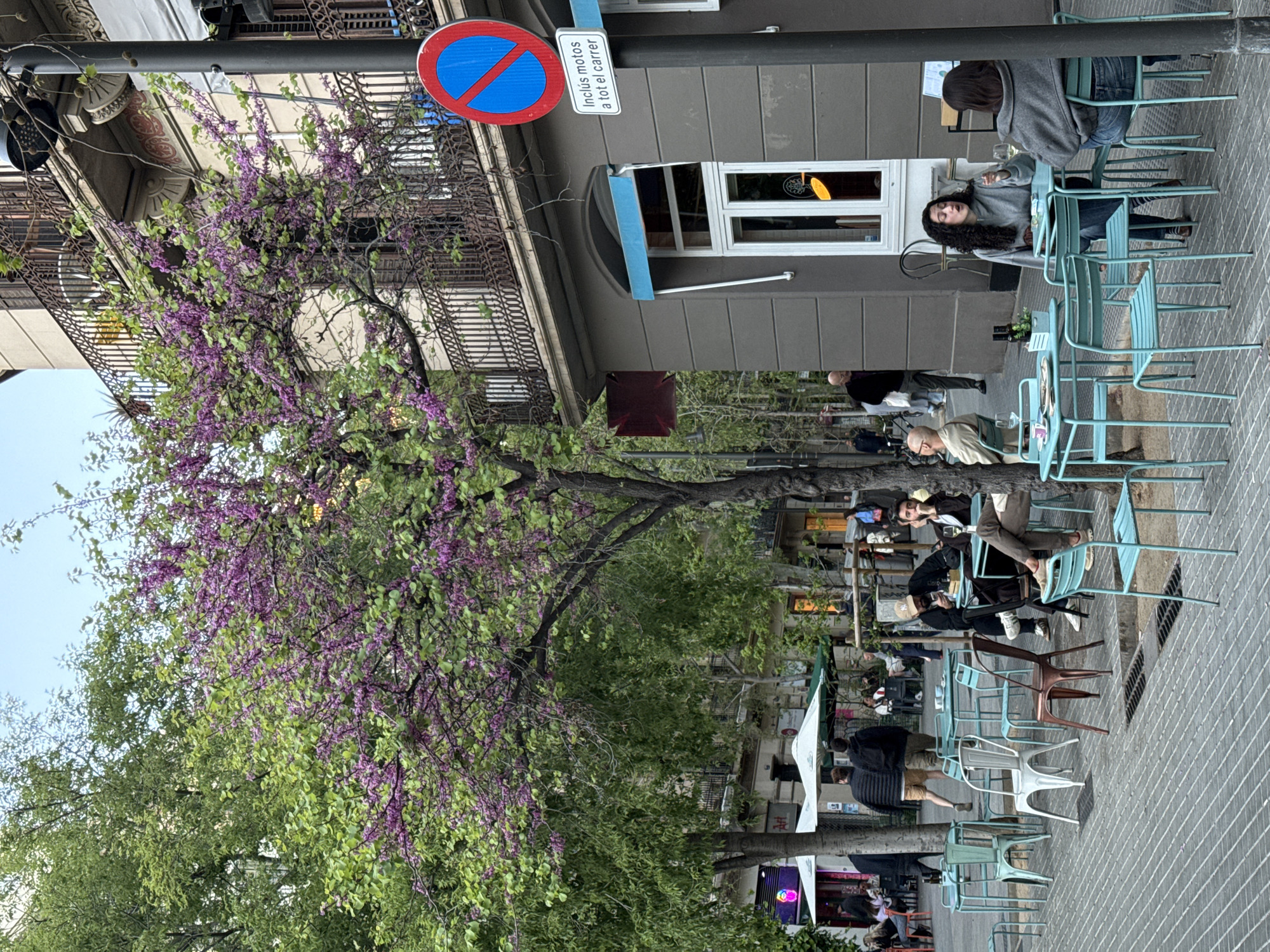 The image depicts a street scene in Barcelona, Spain, with outdoor seating in front of a building. The sidewalk is paved with a light-colored brick. There are several tables with light blue metal chairs, occupied by people dining and conversing. A tree with purple flowers dominates the left side of the image. The building is a multi-story structure with balconies and a gray facade. A no-parking sign is visible near the top of the frame. People are walking on the sidewalk, and overall, the scene suggests a lively urban environment during the day.