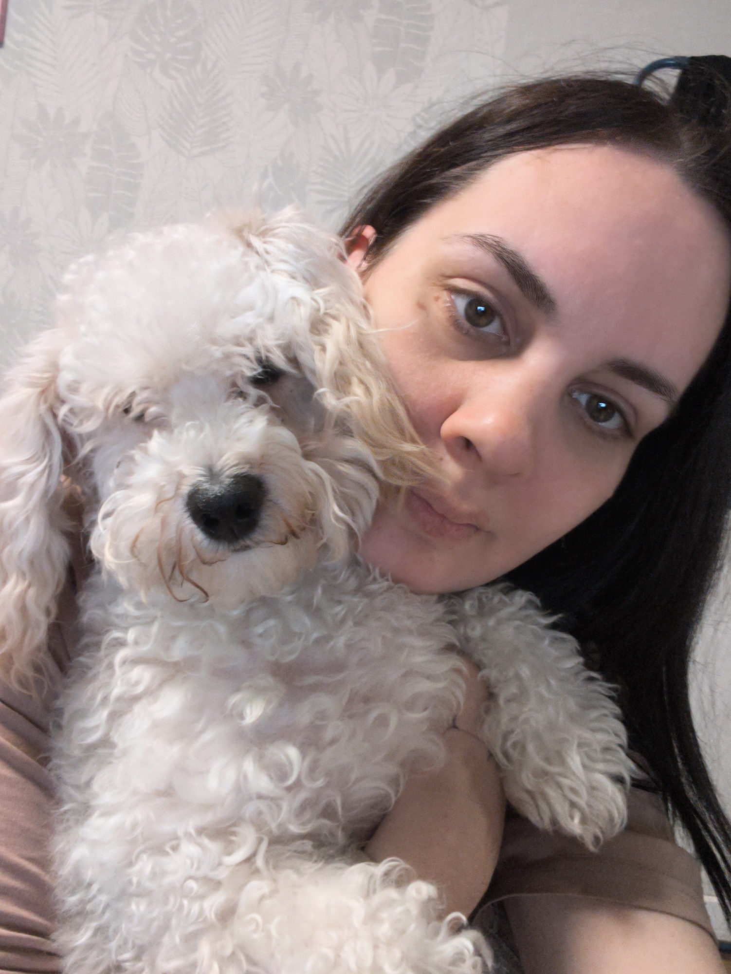 A woman with long, dark hair holds a small, white dog with curly fur close to her face. The woman has light skin, brown eyes, and is wearing a brown shirt. The dog has a black nose and slightly matted fur around its muzzle. The background is a light gray wall with a subtle leaf pattern. The image was taken indoors. There is no information in the image to indicate that it was taken in the city of Chaikovsky, Russia.