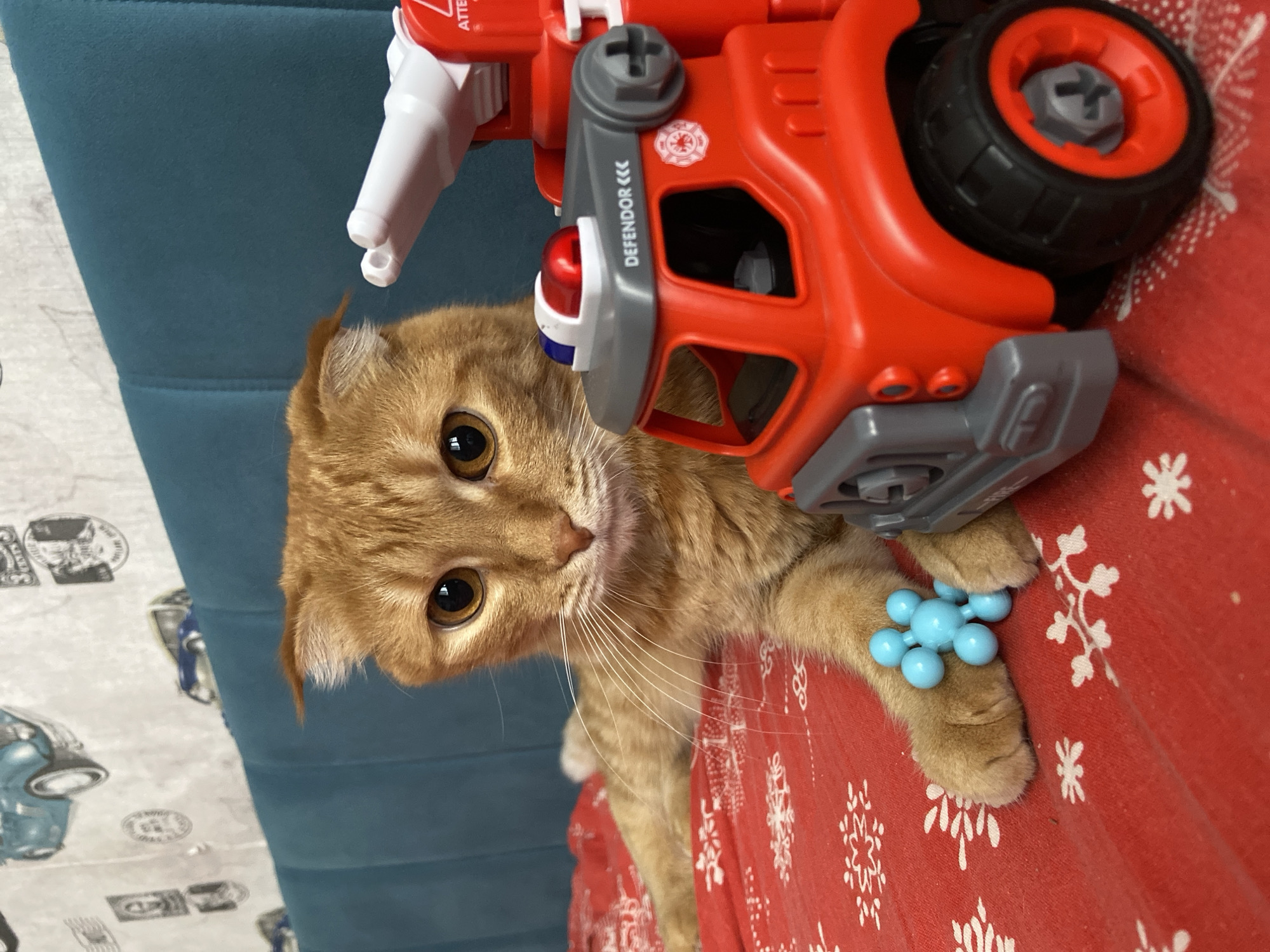 An orange tabby cat is lying on a red bedspread with a white snowflake pattern. In front of the cat is a red toy fire truck. The cat is holding a blue molecular model toy in its left paw. The background is a teal headboard, and the wall behind it has wallpaper with images of vintage cars and stamps. The scene appears to be indoors, possibly in a bedroom. No specific location in Balashikha, Russia, can be determined from the image.