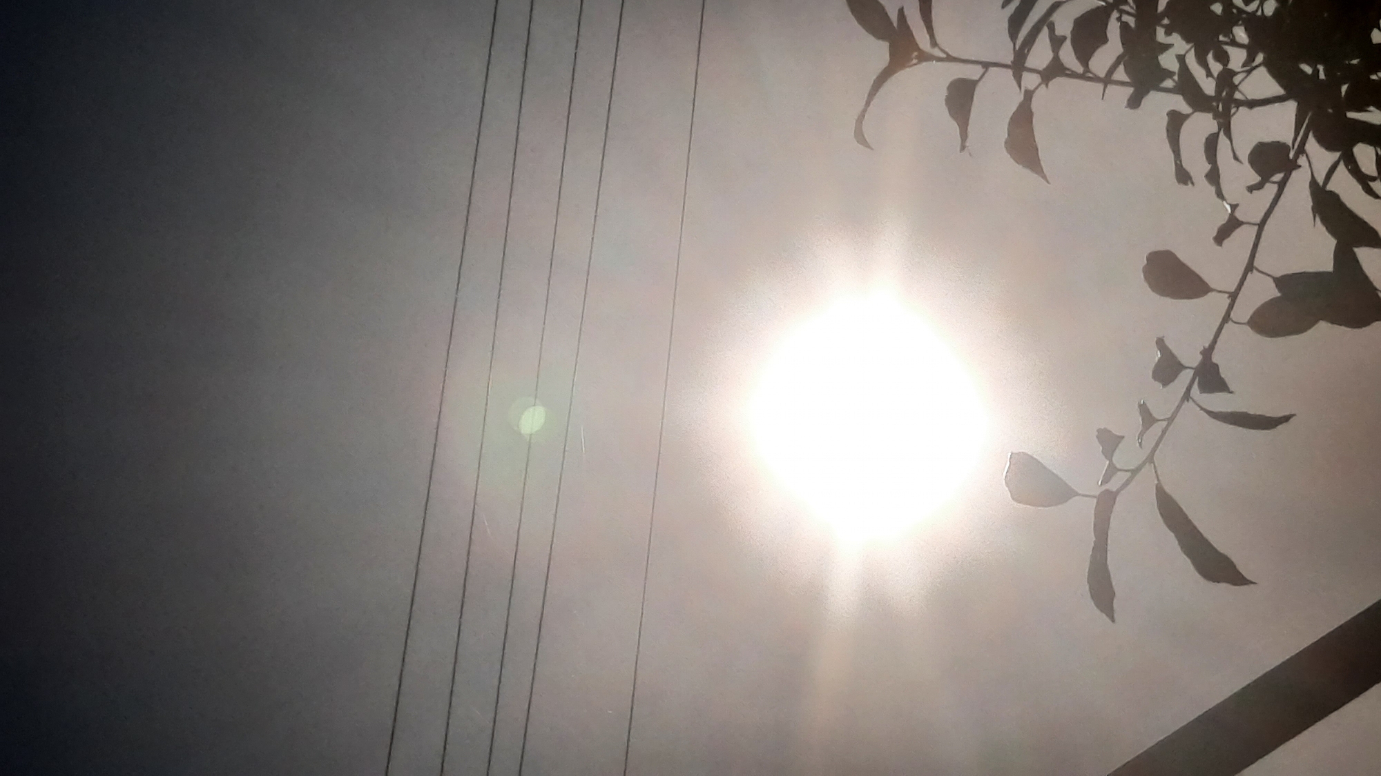 The image shows a bright sun in the sky, with its light casting a glare and making it difficult to discern details. Several horizontal power lines are visible across the upper portion of the frame. In the lower right quadrant, the silhouette of a leafy branch and stem is present, appearing dark against the bright sky. The overall scene suggests an outdoor environment, possibly in an urban or suburban setting. The location in Шклоў, Belarus, is not visually evident from the image content itself.
