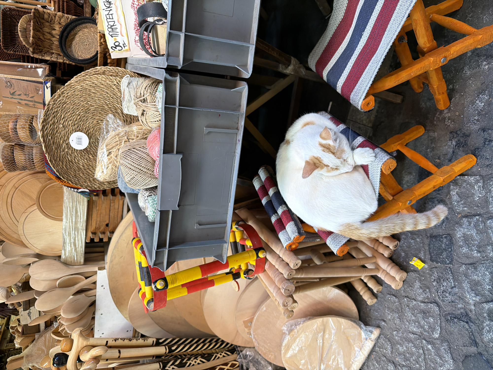 The image depicts a bustling street market in Istanbul, Turkey, likely within the Grand Bazaar or a similar traditional marketplace. In the foreground, a ginger and white cat is curled up asleep on a small, colorful stool. The cat's presence suggests a lived-in, comfortable atmosphere, perhaps indicating the shop is a long-standing family business.
Surrounding the cat and stool are various market goods. To the left and behind the cat are stacks of wooden kitchenware, including large serving spoons and circular cutting boards, some wrapped in plastic. To the right of the cat, more stools with similar colorful striped seating are visible.
In the mid-ground, two large grey plastic crates are filled with various items. One crate contains spools of twine and rope of different textures and colors, along with some pink crafting material. The other crate holds what appear to be hair accessories or small decorative items. A sign with Turkish writing, including "30 MARTENİK," is propped against this crate.
In the background, the market extends further, with more wooden items, woven baskets, and other wares suggesting a diverse array of handcrafted goods. The cobblestone ground indicates an outdoor or semi-covered market setting typical of Istanbul's historic districts. The overall impression is one of a vibrant, active marketplace filled with artisanal products, where even the animals find a place to rest.