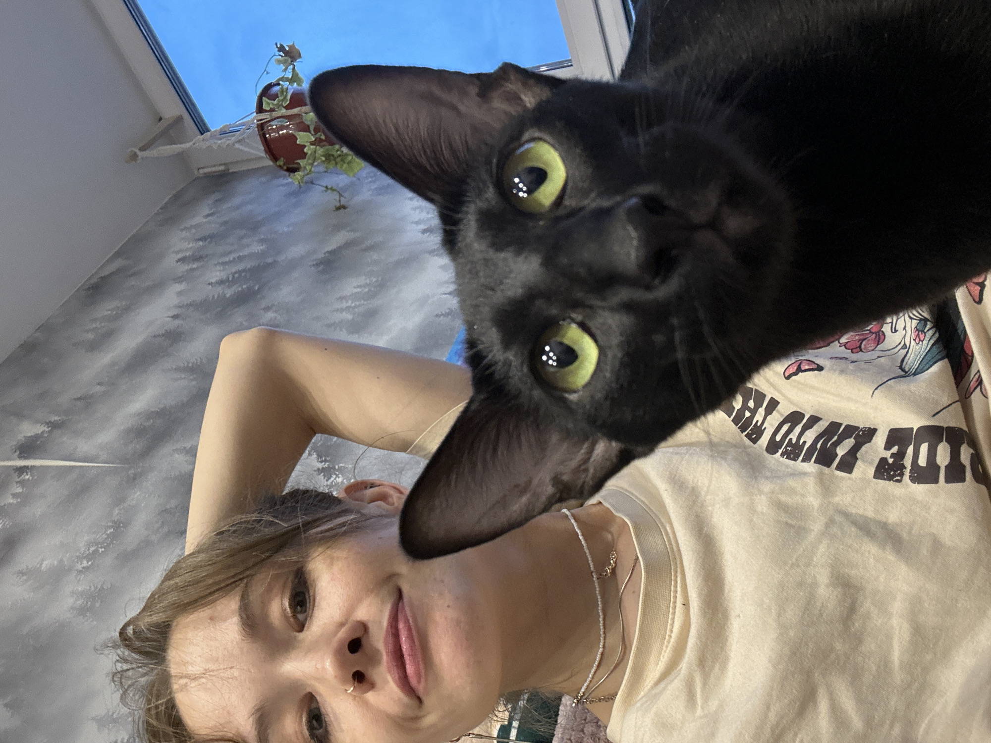 A black cat with bright green eyes is perched on a person's chest, looking directly into the camera. The person, a young woman with light brown hair, is also looking at the camera, with one arm behind her head. She is wearing a light-colored t-shirt with text printed on it. The background appears to be indoors, with a textured grey wall and a glimpse of a blue sky through a window. A potted plant hangs near the window. The lighting suggests it might be evening or a cloudy day. The overall mood is casual and intimate, as if capturing a moment of interaction between a pet and its owner.
The text on the t-shirt is partially visible and reads "SIDE INTO TH".