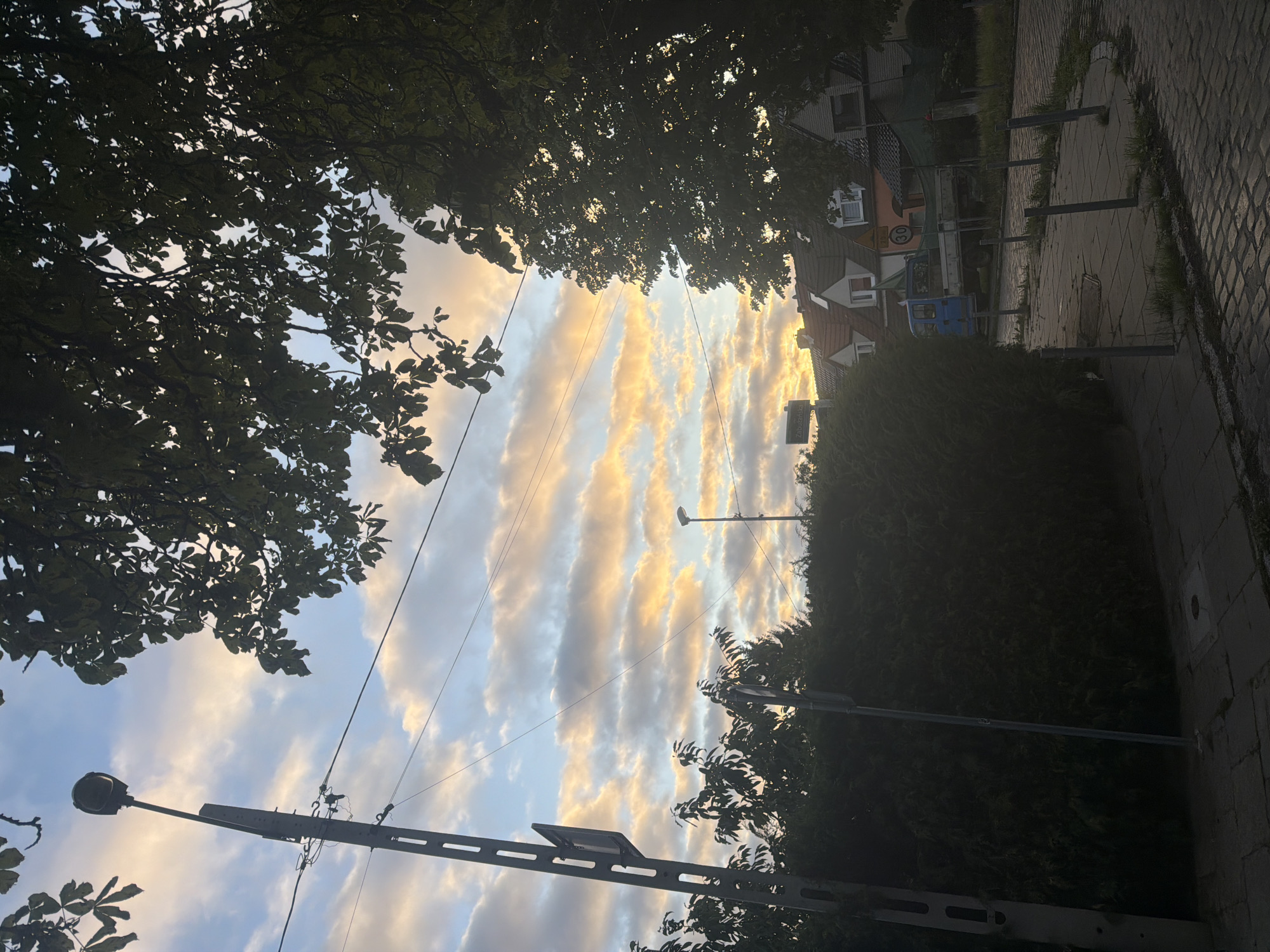 The image captures a street scene in Szczecin, Poland, during what appears to be either sunrise or sunset. A prominent utility pole with a street lamp stands on the left side of the frame, silhouetted against a sky filled with colorful, elongated clouds tinged with orange and yellow hues. Dense green foliage, likely from trees, overhangs the scene from the top and right, casting shadows.
In the middle ground, a well-maintained hedge runs horizontally, separating the foreground from the background. Beyond the hedge, a row of residential houses with red-tiled roofs and white window frames are visible. A blue truck is parked on the street in front of the houses. A street sign with the text "ZABOCZANSKA" is partially visible on the left side of the frame.
The foreground consists of a paved sidewalk and a cobblestone street. Several small metal posts are planted along the edge of the sidewalk. The overall lighting suggests low light conditions, with the sky being the brightest element, illuminated by the low sun. No people are visible in the scene.