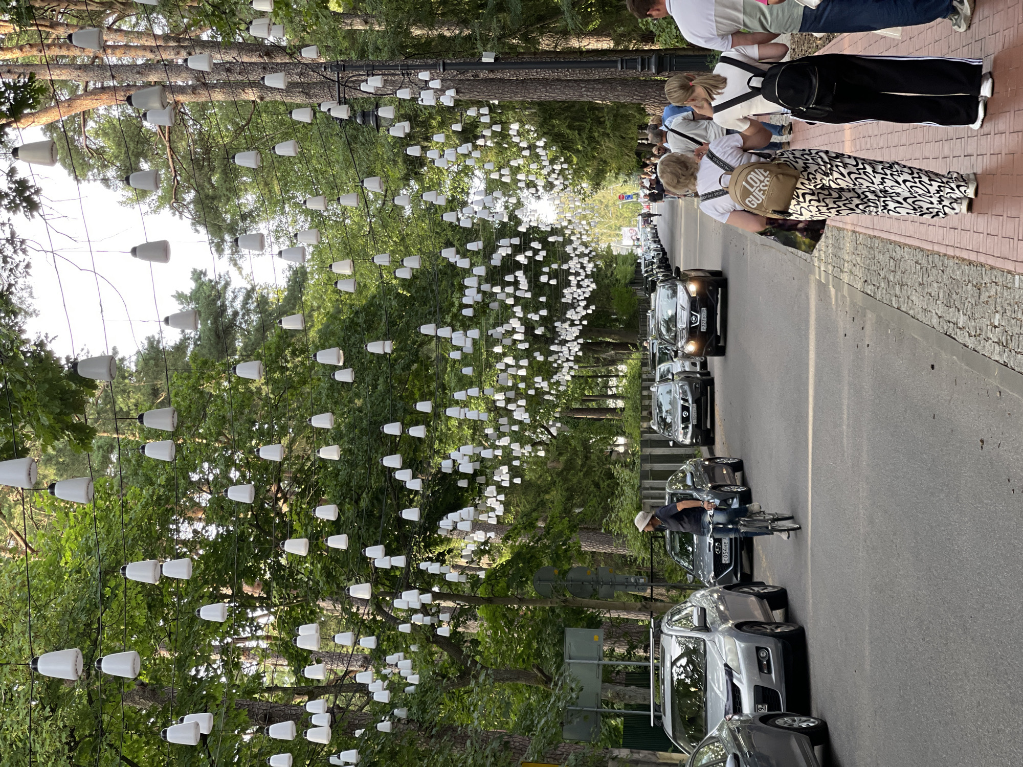 In Svetlogorsk, Russia, a street scene unfolds with a dense canopy of trees lining both sides of an asphalt road. Hundreds of white, bell-shaped pendant lights are strung across the street, suspended from wires between the trees, creating a festive and illuminated pathway. The road is moderately trafficked with several cars driving and parked. On the right side of the road, a brick sidewalk is visible where several pedestrians are walking. Among them are two women, one carrying a tan backpack with the word "GUESS" printed on it, and another woman carrying a black backpack. Further down the sidewalk, more people are seen walking, and several parked cars are visible. On the left side of the road, a cyclist is riding a bicycle. Cars are parked along the left side of the road, and a few more cars are driving in the distance. The scene appears to be a vibrant street during daylight hours, possibly in the evening given the lighting setup.