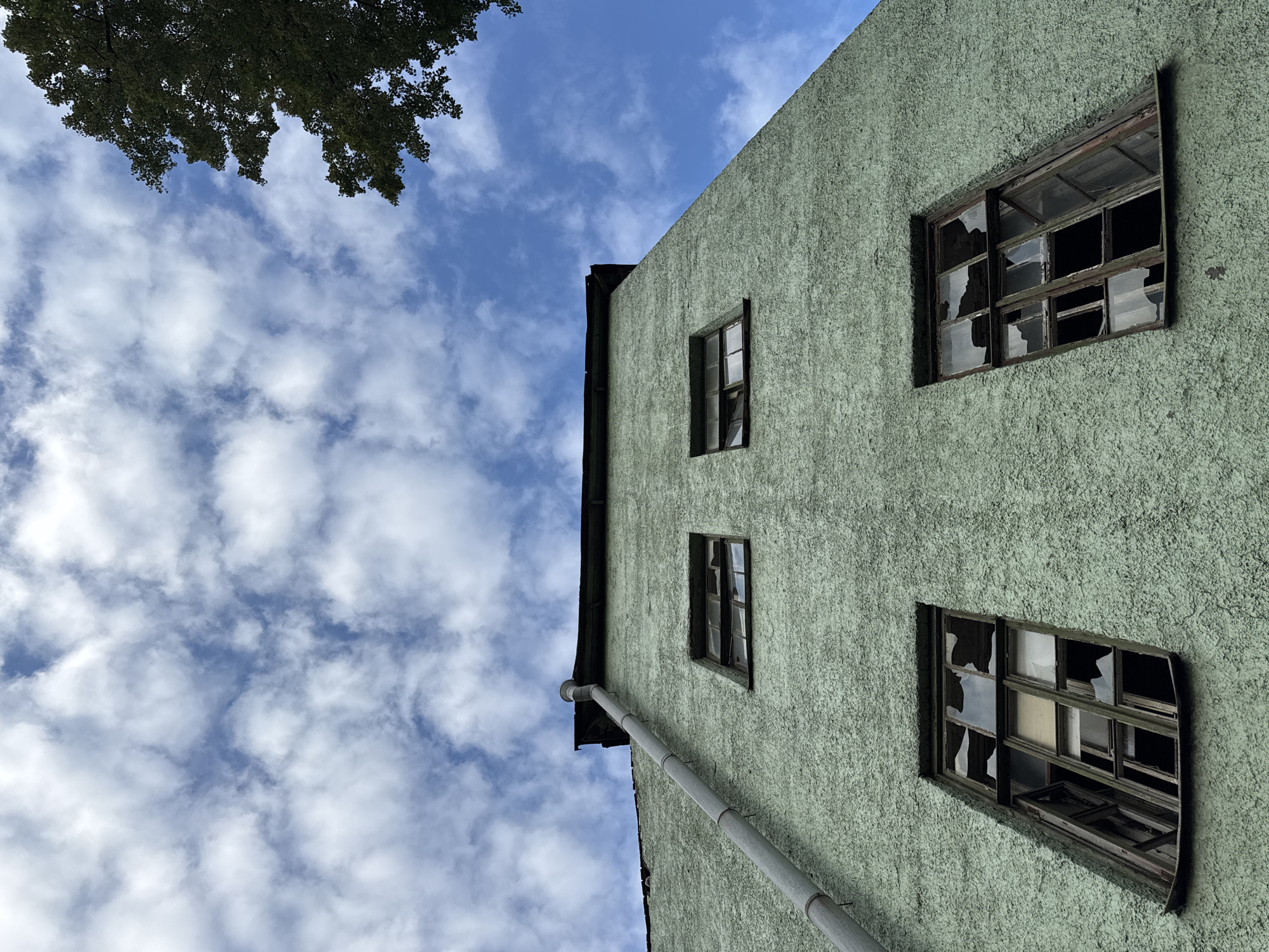 The image shows an upward-angled view of a light green, textured building facade with several broken windows. A large, grey drainpipe runs diagonally down the left side of the building, ending near the top edge. The sky above is blue with scattered white clouds. In the upper right corner, the dark green foliage of a tree branches into the frame. The building appears old and possibly abandoned, with the broken glass in the windows suggesting disrepair. The location is identified as Saint Petersburg, Russia, though specific details about the site within the city are not provided. There are no people or discernible actions depicted in the image.