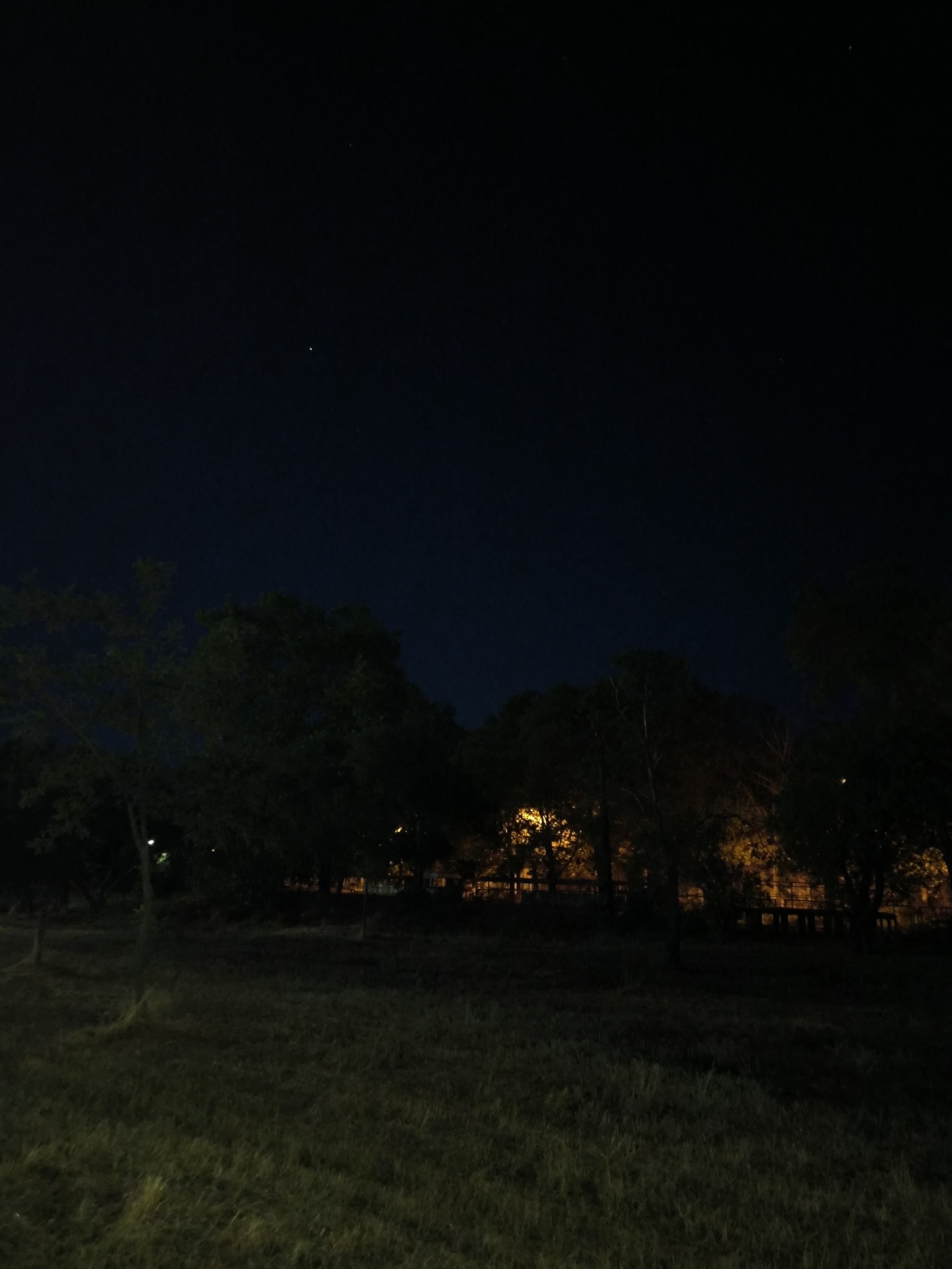 The image depicts a dark outdoor scene at night, likely a park or open area with trees. The sky is a deep, dark blue, with a few faint stars visible. In the foreground, there is grass with some patches of light, suggesting artificial illumination from nearby sources. Behind the grassy area, a line of trees forms a dark silhouette against the night sky. Some of these trees are illuminated by warm, yellow artificial lights, possibly from streetlights or buildings, casting an orange glow through the foliage. In the background, there are hints of structures, possibly a fence or low buildings, also lit by artificial light. The overall impression is one of a dimly lit, tranquil evening in a natural setting within an urban environment. The specific location in Mykolaiv, Ukraine, cannot be determined from the visual information alone.