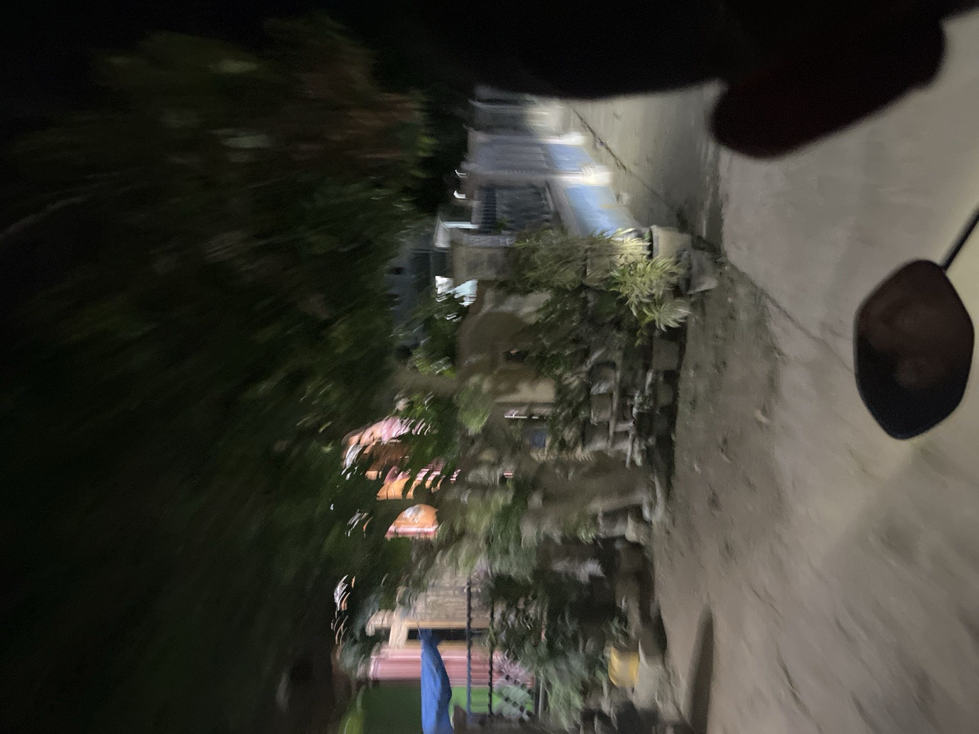 The image depicts a dimly lit outdoor scene at night, likely in Menanggini, Indonesia. The perspective suggests the photo was taken from a moving vehicle, possibly a motorcycle, due to the motion blur and the inclusion of what appears to be a person's hand or arm in the foreground, obscuring part of the view.
The scene is characterized by a narrow pathway or alley with foliage on the left and buildings on the right. The buildings appear to be multi-story with visible windows, some of which are illuminated from within, casting warm light onto the exterior. There are also hints of vegetation and planters, adding to the residential or urban greenery feel. A blue tarp or fabric is visible hanging near the bottom center. The overall atmosphere is one of movement and partial obscurity, with the limited light sources creating shadows and highlighting textures.
The time of day is clearly night, and no specific weather conditions are discernible. The location cues, like the architecture and the presence of lush greenery, are consistent with a tropical or subtropical setting. The image does not contain any visible text. The motion blur and the way the scene is captured evoke a sense of fleeting observation, perhaps a glimpse of daily life or a particular place as one passes by.