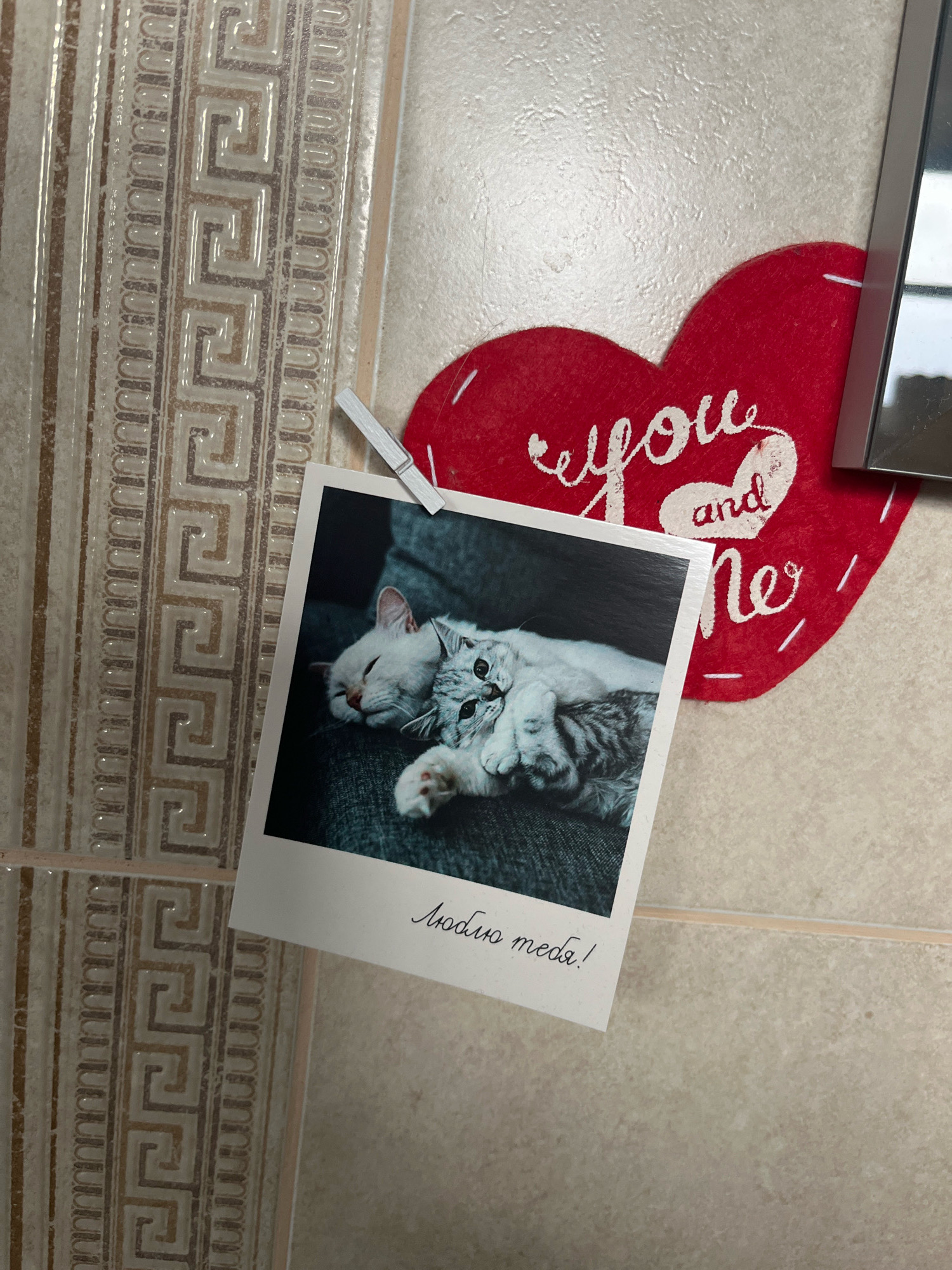 A close-up, overhead shot shows a polaroid photograph of two cats, one adult and one kitten, snuggled together. The photograph is attached to a beige tiled wall by a small, white clothespin. To the right of the photograph is a red, felt heart decoration with the words "you and me" written in white script. The wall features a decorative border of interlocking geometric patterns. The image does not depict the city of Vladimirovka, Russia.