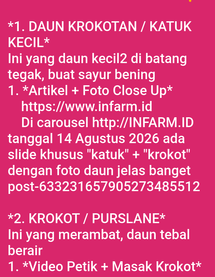 Memory