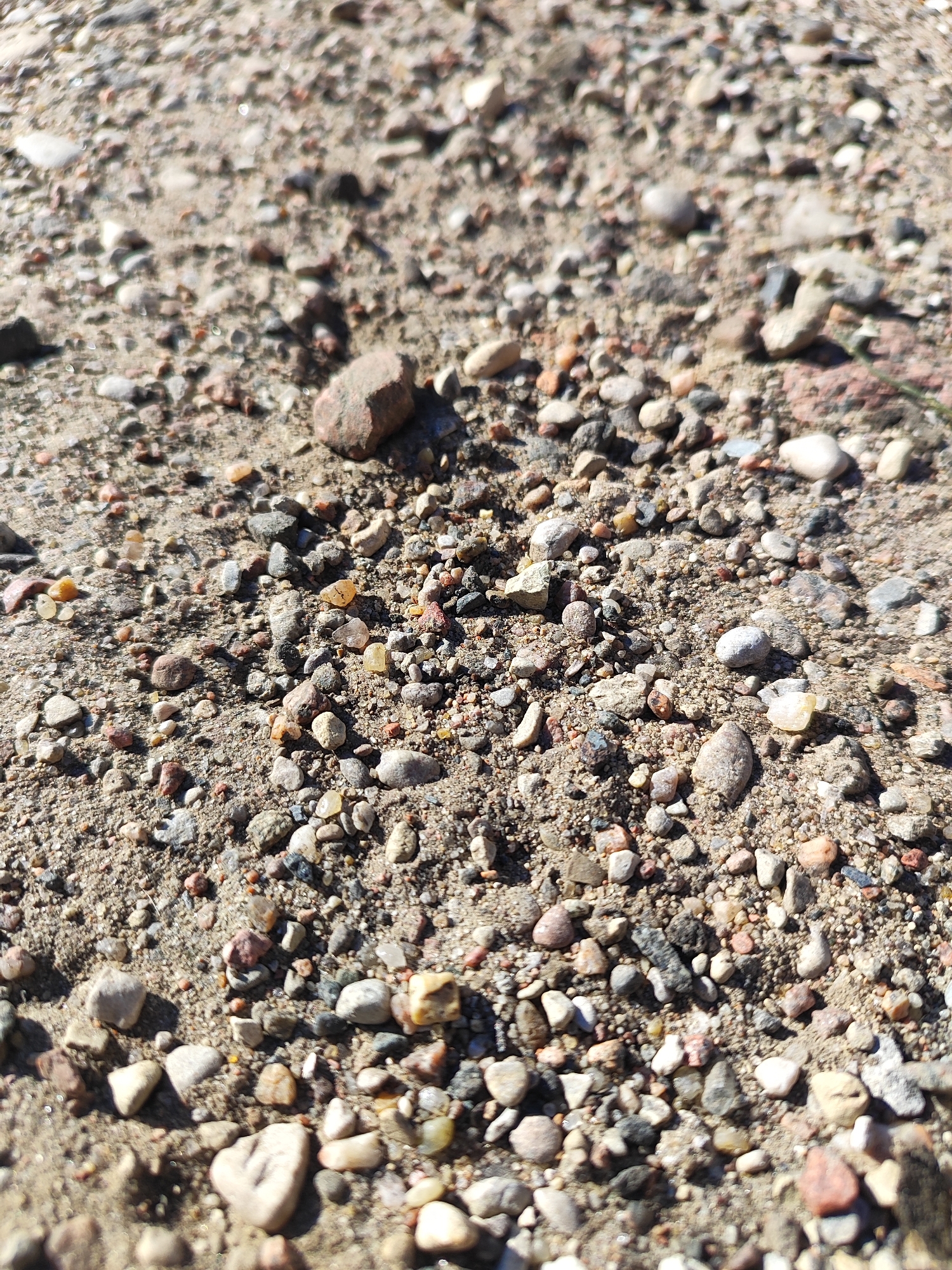 The image depicts a close-up, ground-level view of a sandy surface interspersed with numerous small stones and pebbles of varying colors and shapes. The stones are a mix of grays, browns, whites, and some with reddish hues, indicative of common aggregate materials. The sand appears dry and loose, with shadows cast by some of the larger stones, suggesting daylight. The setting is naturalistic and appears to be an outdoor environment, possibly a pathway, construction site, or natural ground cover. There are no discernible man-made structures or living beings in the frame. The image does not provide any specific visual cues that would allow for its placement within the city of Hrodna, Belarus.