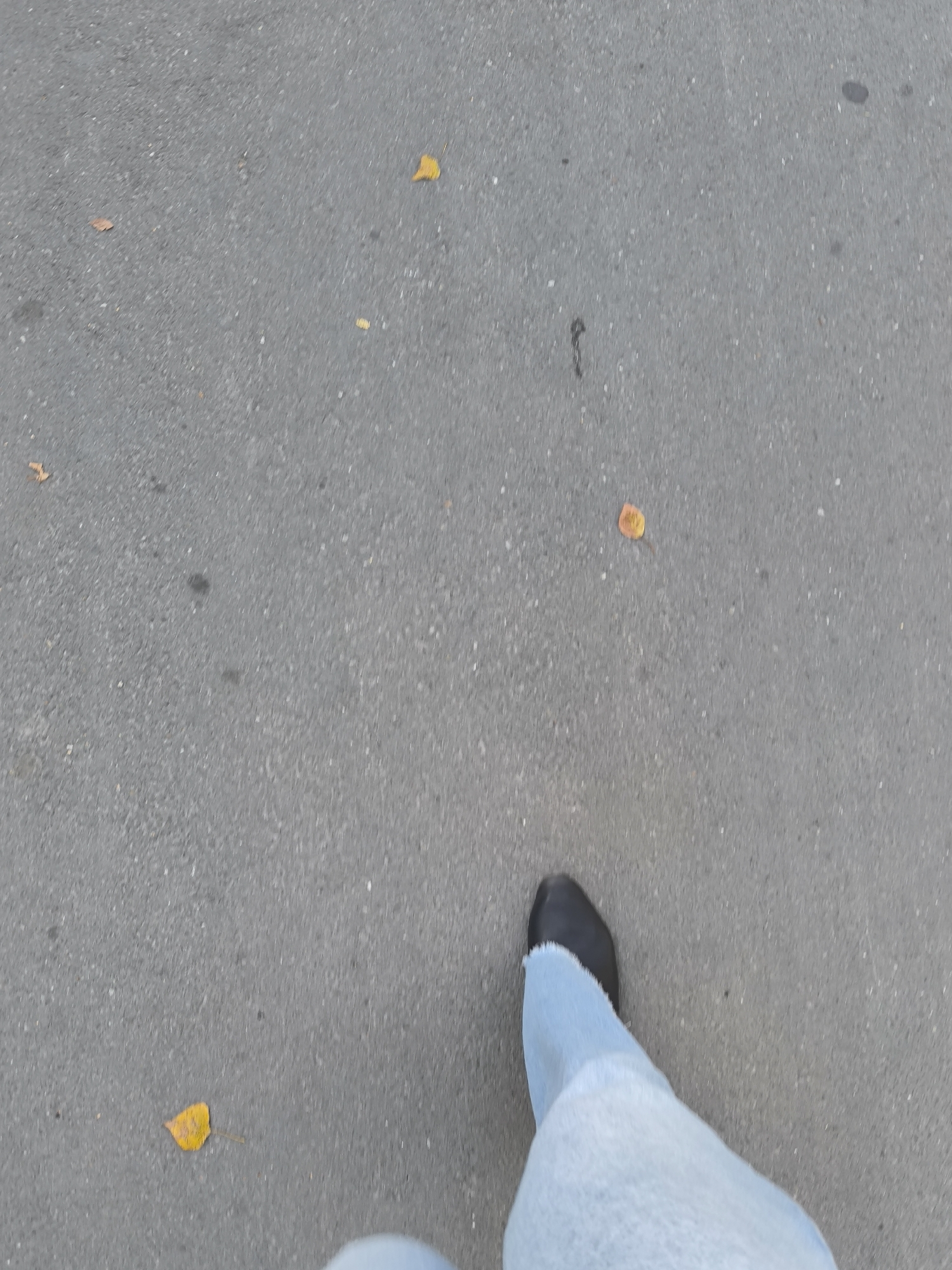 The image shows a close-up, ground-level view of a person's left leg and foot as they walk on an asphalt surface. The person is wearing light blue jeans and a dark shoe. Scattered on the asphalt are a few fallen yellow leaves, suggesting an outdoor environment, possibly a park or street in Novosibirsk, Russia, during autumn. The asphalt appears to be weathered and shows some small pebbles and dark marks. The perspective is from the viewpoint of the person walking.