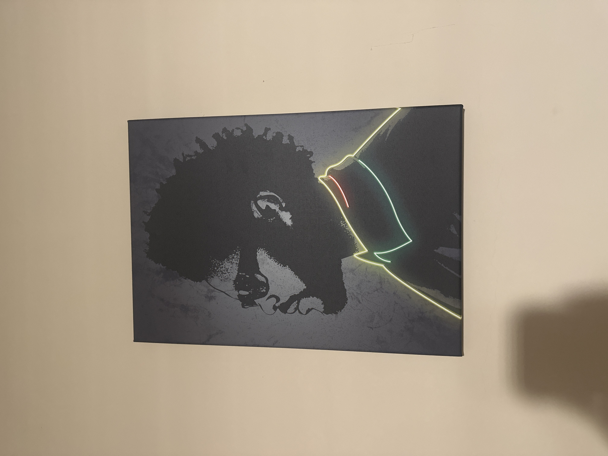 The image shows a framed canvas print hanging on a light beige wall. The artwork depicts a stylized, grayscale silhouette of a person's head in profile, facing right. Overlaid on the silhouette are neon-style outlines in green, yellow, and a small segment in red. The background of the canvas is dark gray with a slightly textured appearance. The location is not discernible from the image.