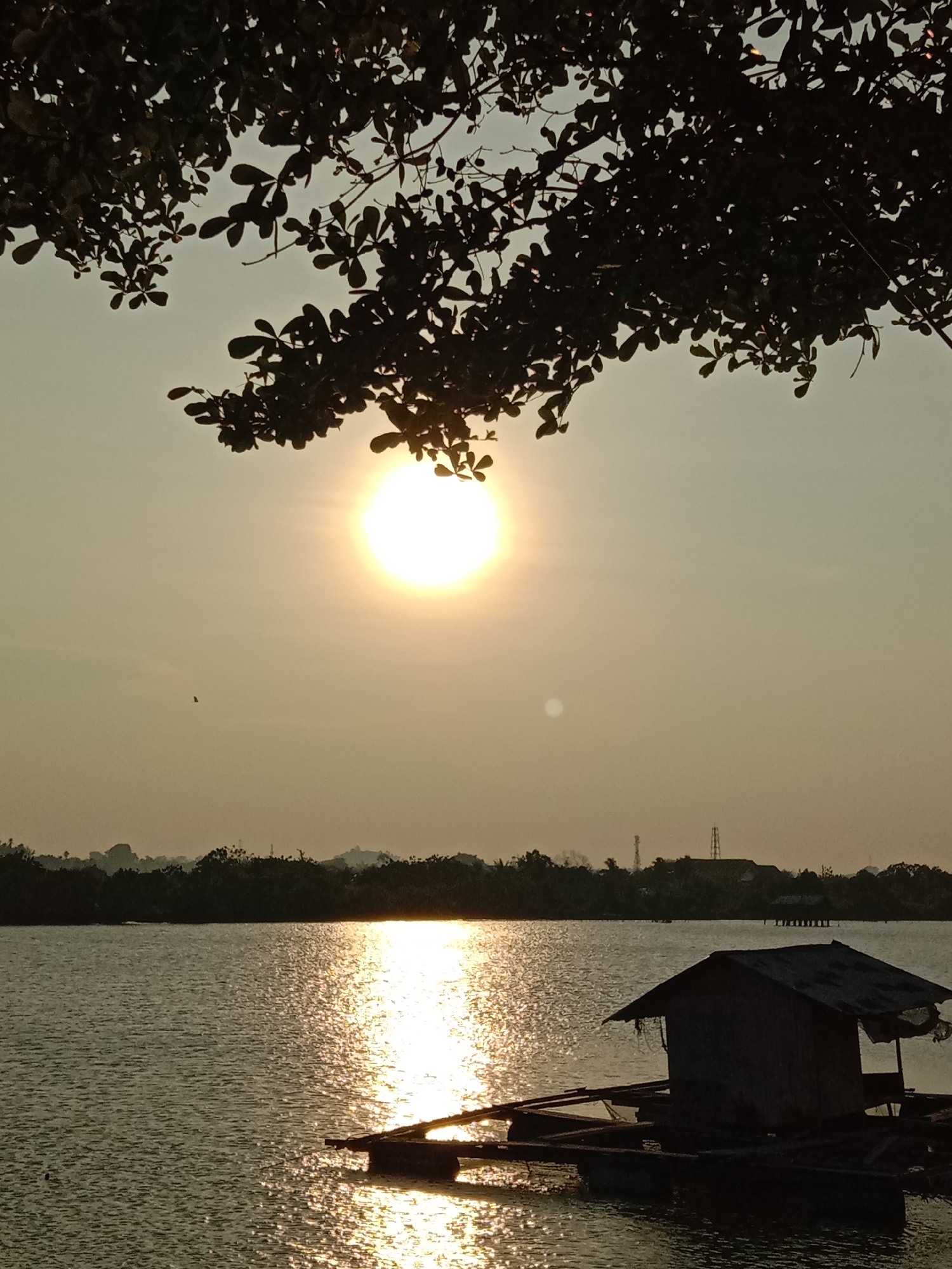 This media file captures a serene waterscape at either sunrise or sunset in Lhokseumawe, Indonesia. The primary subjects include a brilliant, low-hanging sun, dark silhouetted tree branches in the foreground, a calm body of water, and a rustic floating structure.
The scene is set on a large expanse of water, likely a lake or lagoon, with a distant shoreline of dense trees and hills visible on the horizon. The top of the image is framed by the dark, intricate silhouette of leafy tree branches, adding depth to the composition.
The activity depicted is simply the quiet passing of time in a natural environment. No human activity is explicitly shown, emphasizing tranquility and the beauty of the natural world. A small bird can be seen flying in the distant sky.
Notable details are abundant. The time of day is clearly marked by the sun's position and the warm, golden light it casts. The sun itself is a bright, circular orb, radiating an intense glow that illuminates the hazy sky and creates a dazzling, shimmering path of reflections across the water's surface, extending from the horizon towards the viewer. The floating structure, resembling a small wooden hut or shack with a simple roof, rests on what appears to be a raft of barrels or floats in the lower right corner, bathed in the sun's reflection. In the far distance on the shoreline, faint structures such as communication towers or power lines are discernible, hinting at human development beyond the immediate natural scene. The overall ambiance is peaceful and contemplative.
There is no visible text in the image.