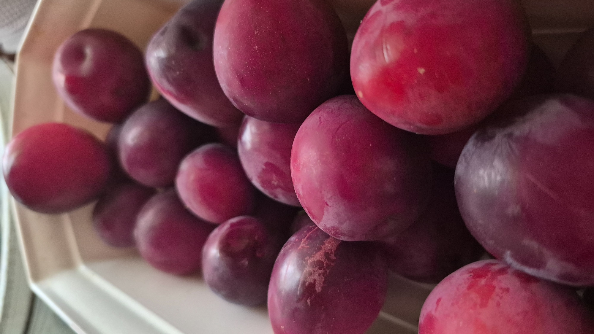 A close-up, top-down view shows a pile of ripe plums filling a beige plastic container. The plums are predominantly a deep reddish-purple color, with some lighter pinkish-red hues visible, and a matte, slightly dusty finish. The lighting casts subtle shadows, highlighting the round, smooth surfaces of the fruit. The container appears to be made of textured plastic and is slightly angled, with a portion of its rim visible at the top and left edges of the frame. The background is softly blurred, suggesting an indoor setting with a neutral color palette. There are no people or animals present in the image. The image is centered on the plums, emphasizing their texture and color. The scene is static and depicts a still life arrangement of the fruit. The location in Ļūbaste 0001, Latvia, is not visually represented in the image itself.